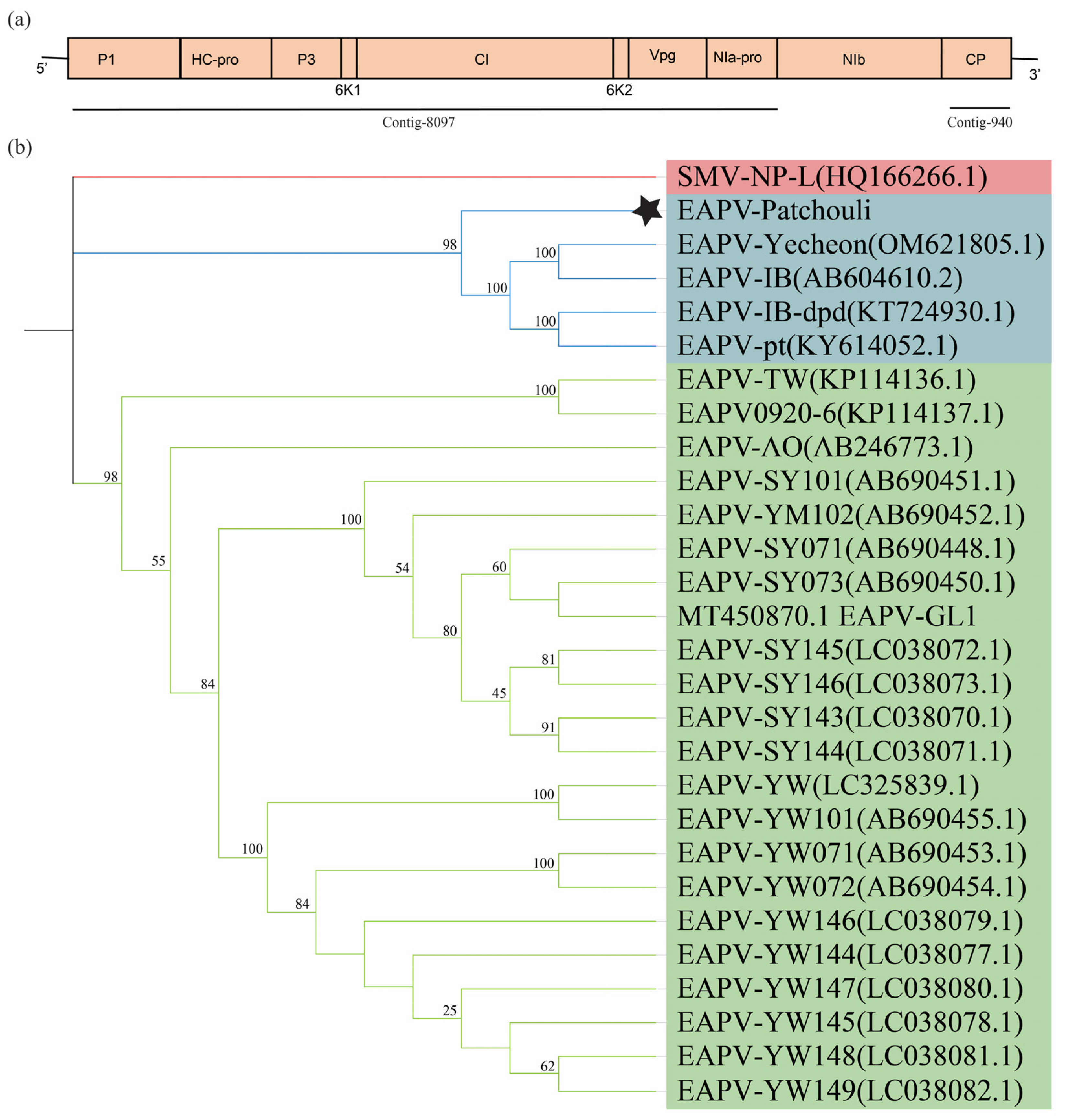 Viruses 16 01837 g007