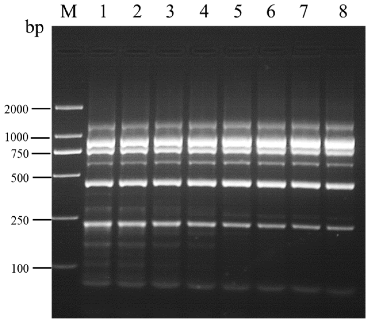 Viruses 16 01858 g003