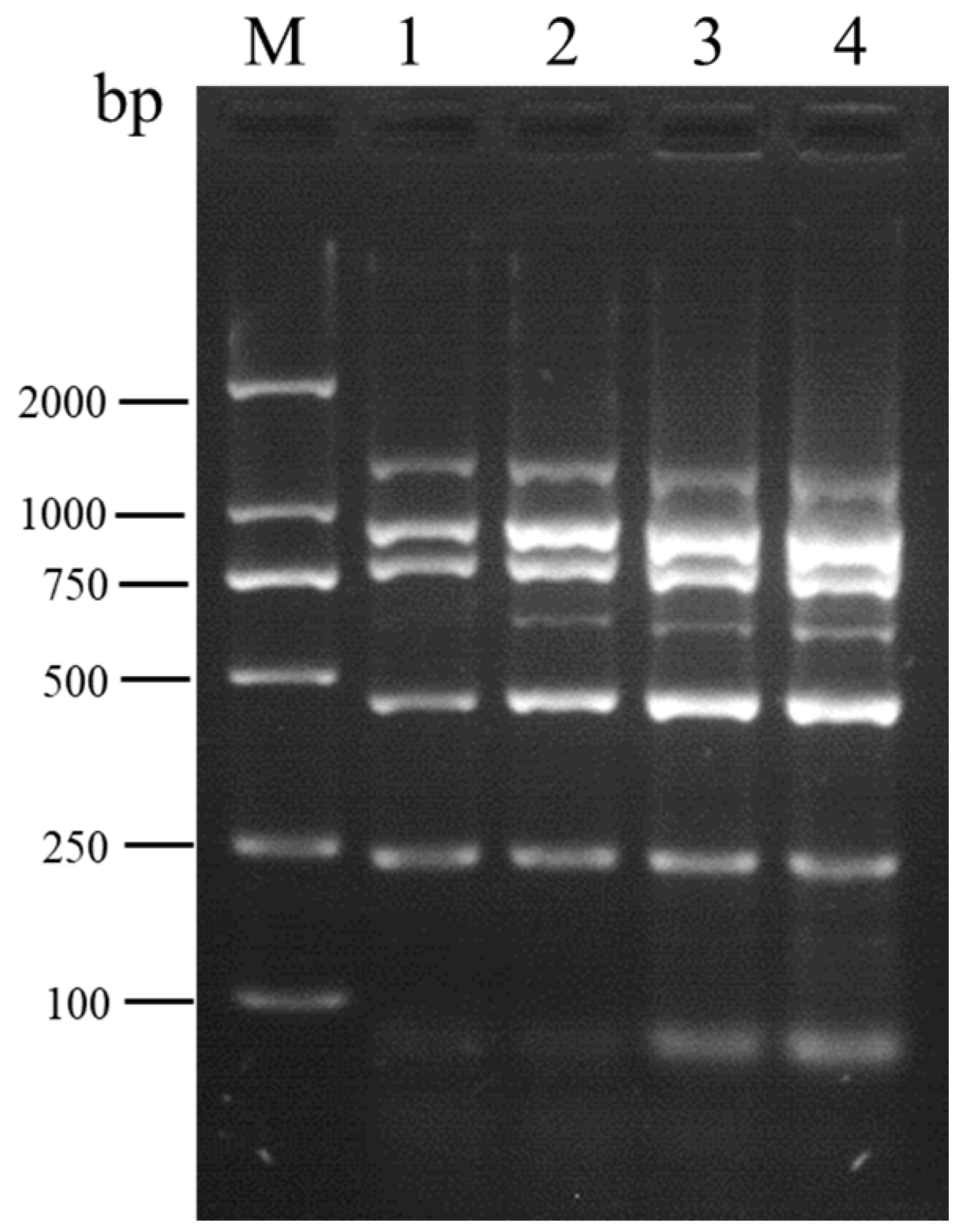 Viruses 16 01858 g004