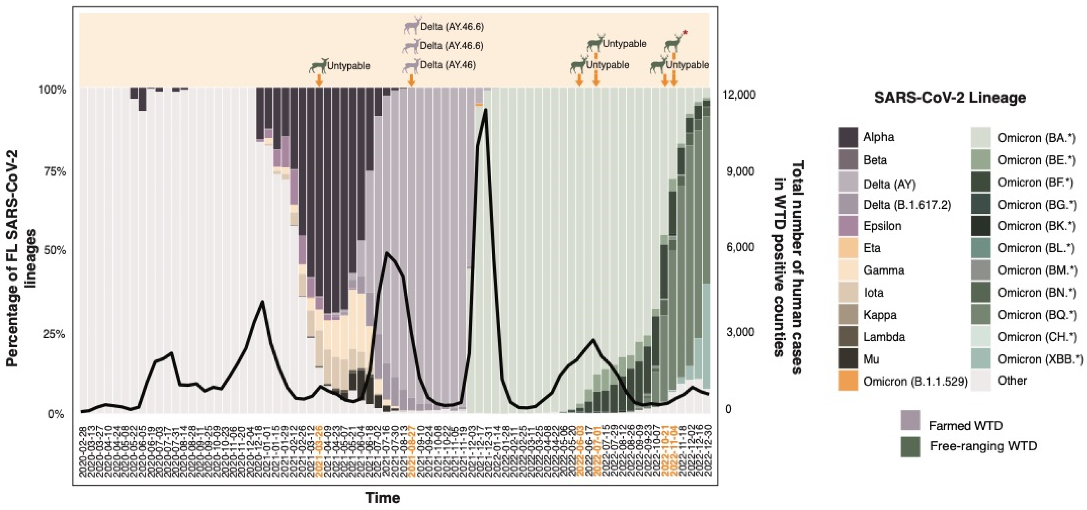 Viruses 16 01886 g003