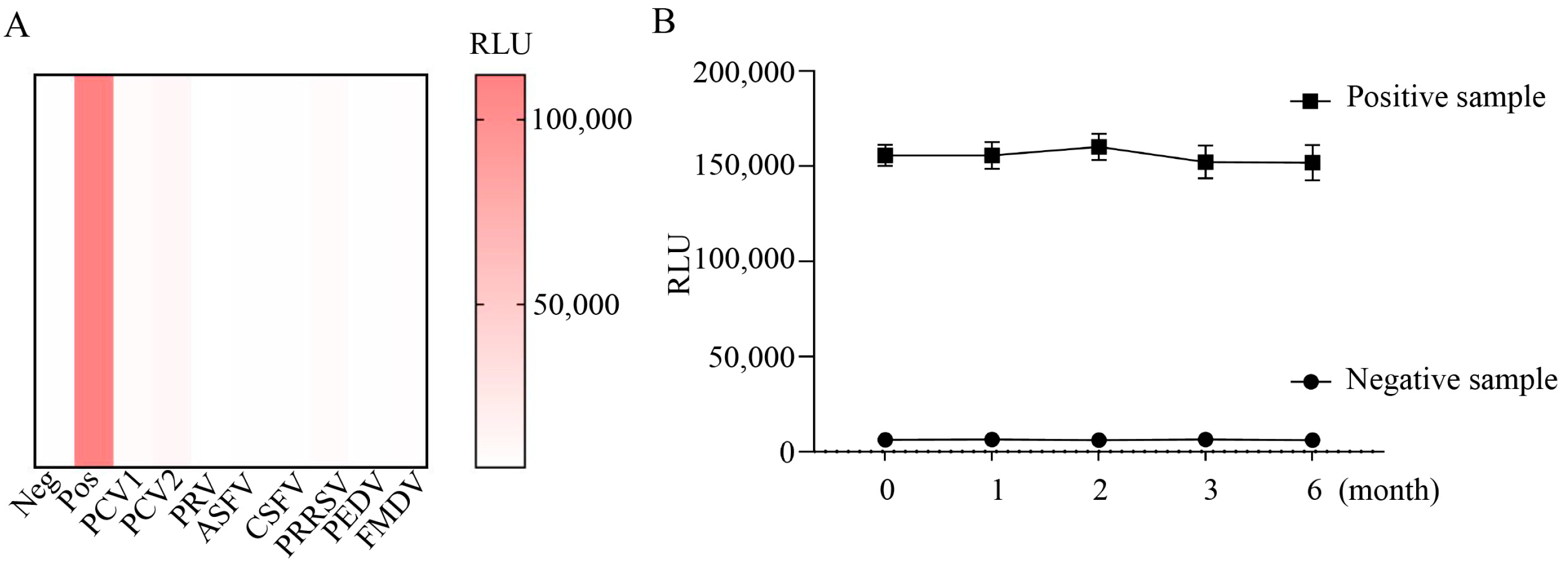 Viruses 16 01925 g005