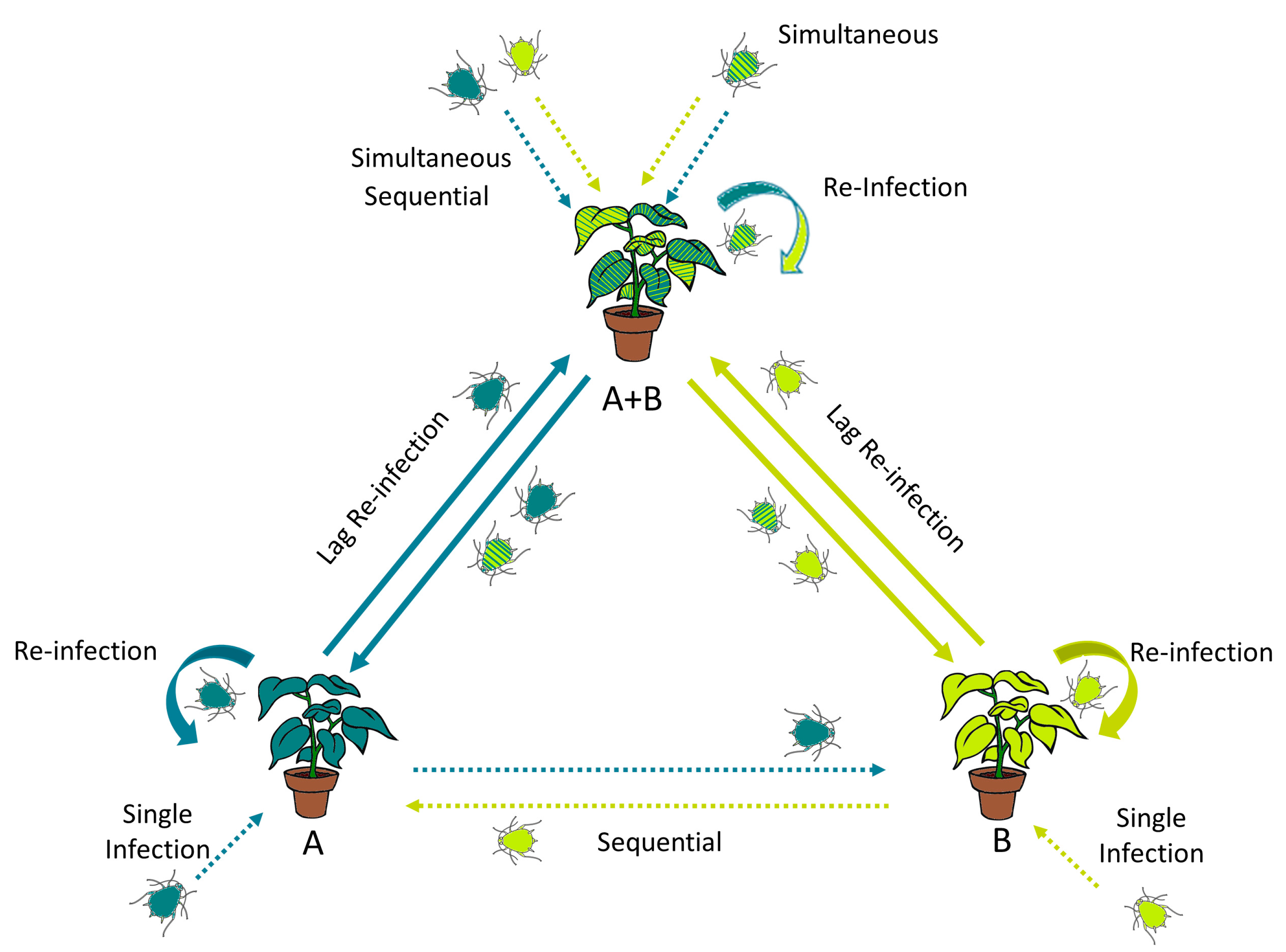 Viruses 16 01954 g001