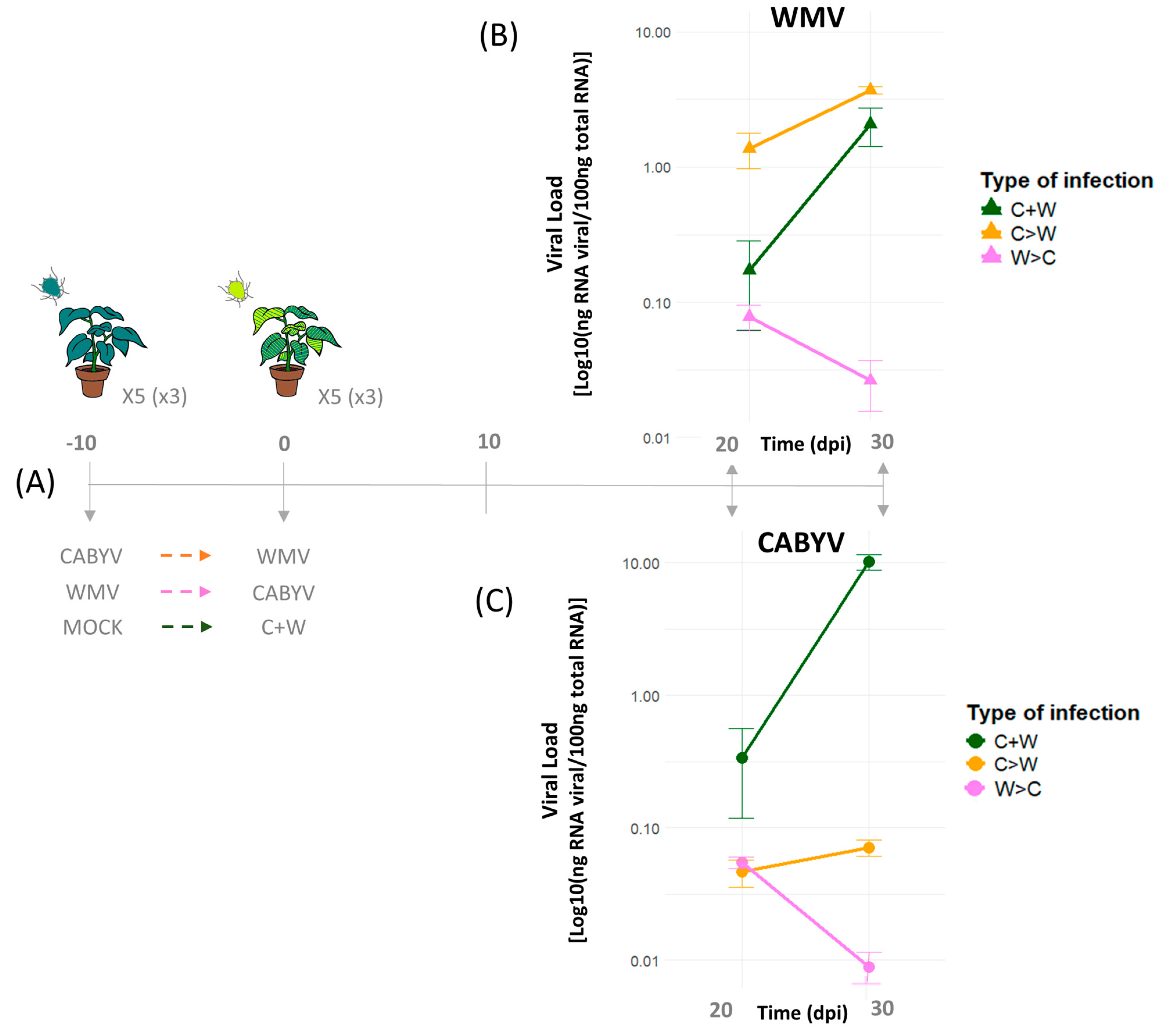 Viruses 16 01954 g002