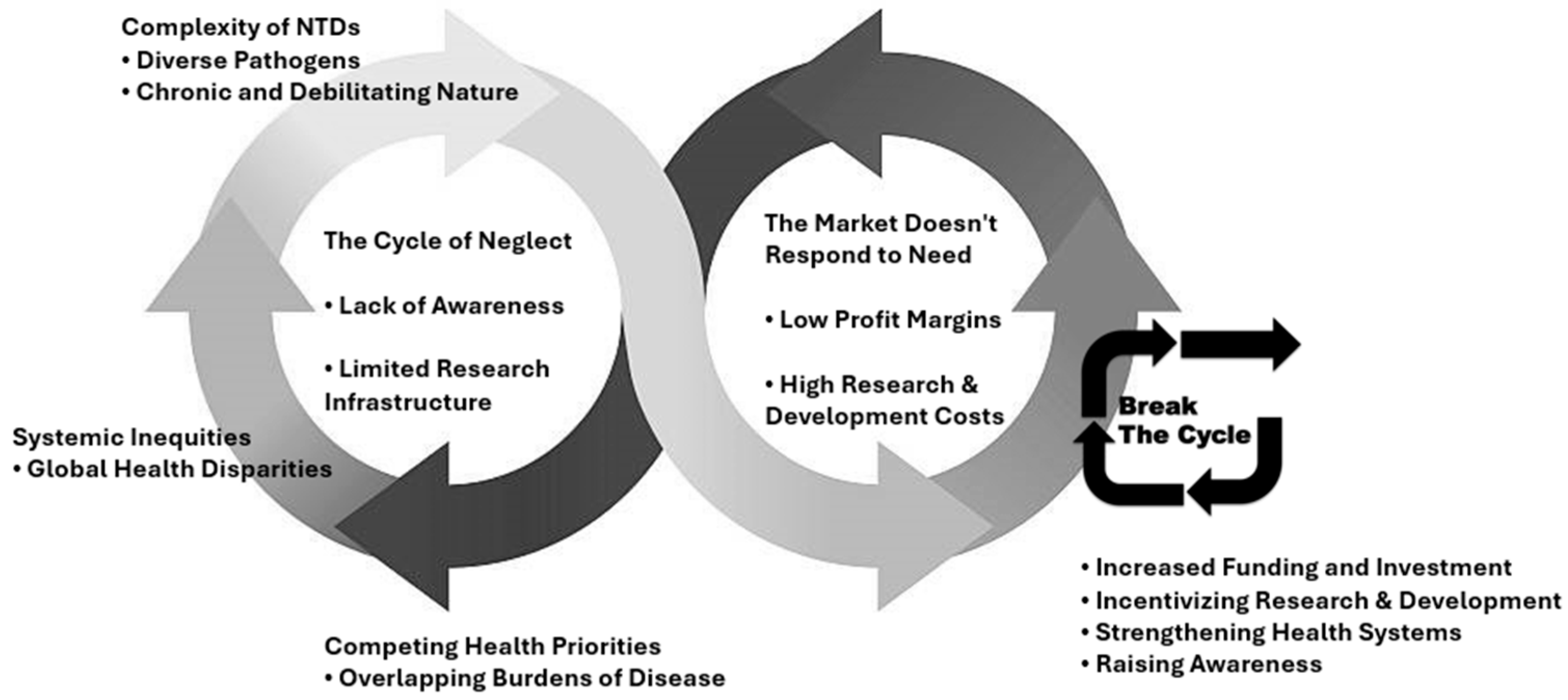 Viruses 17 00029 g002