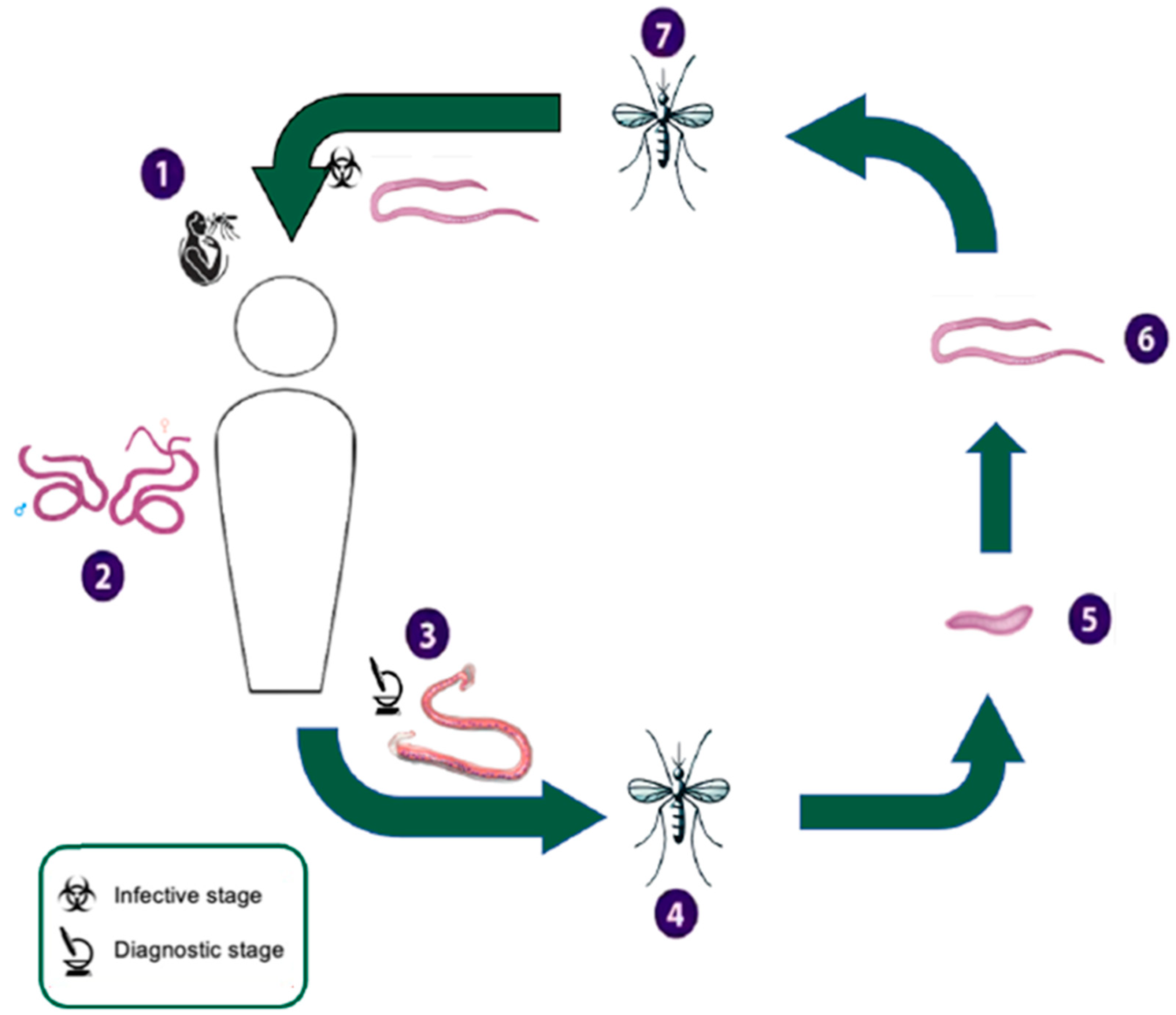 Viruses 17 00029 g0a2