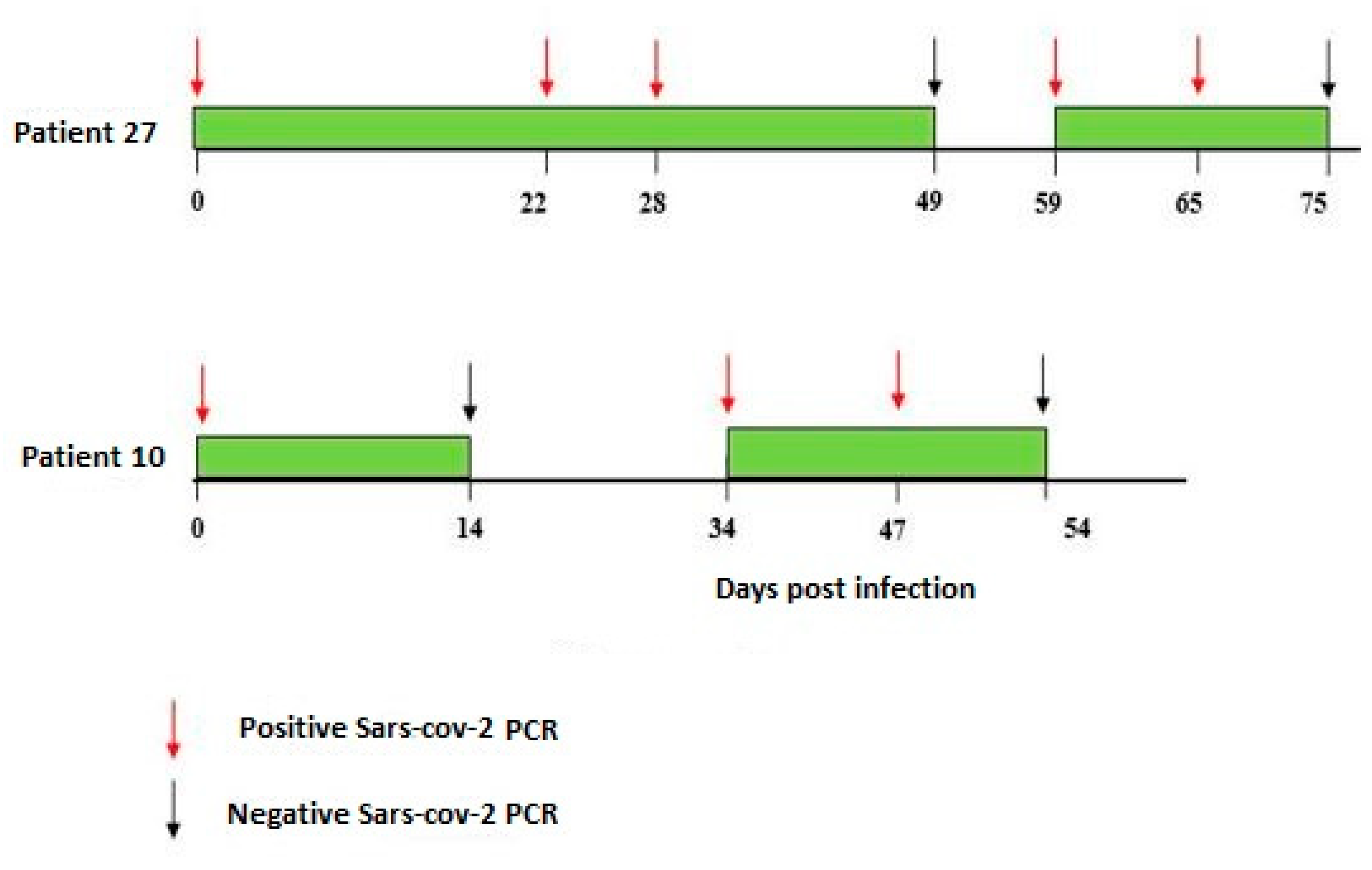 Viruses 17 00046 g002