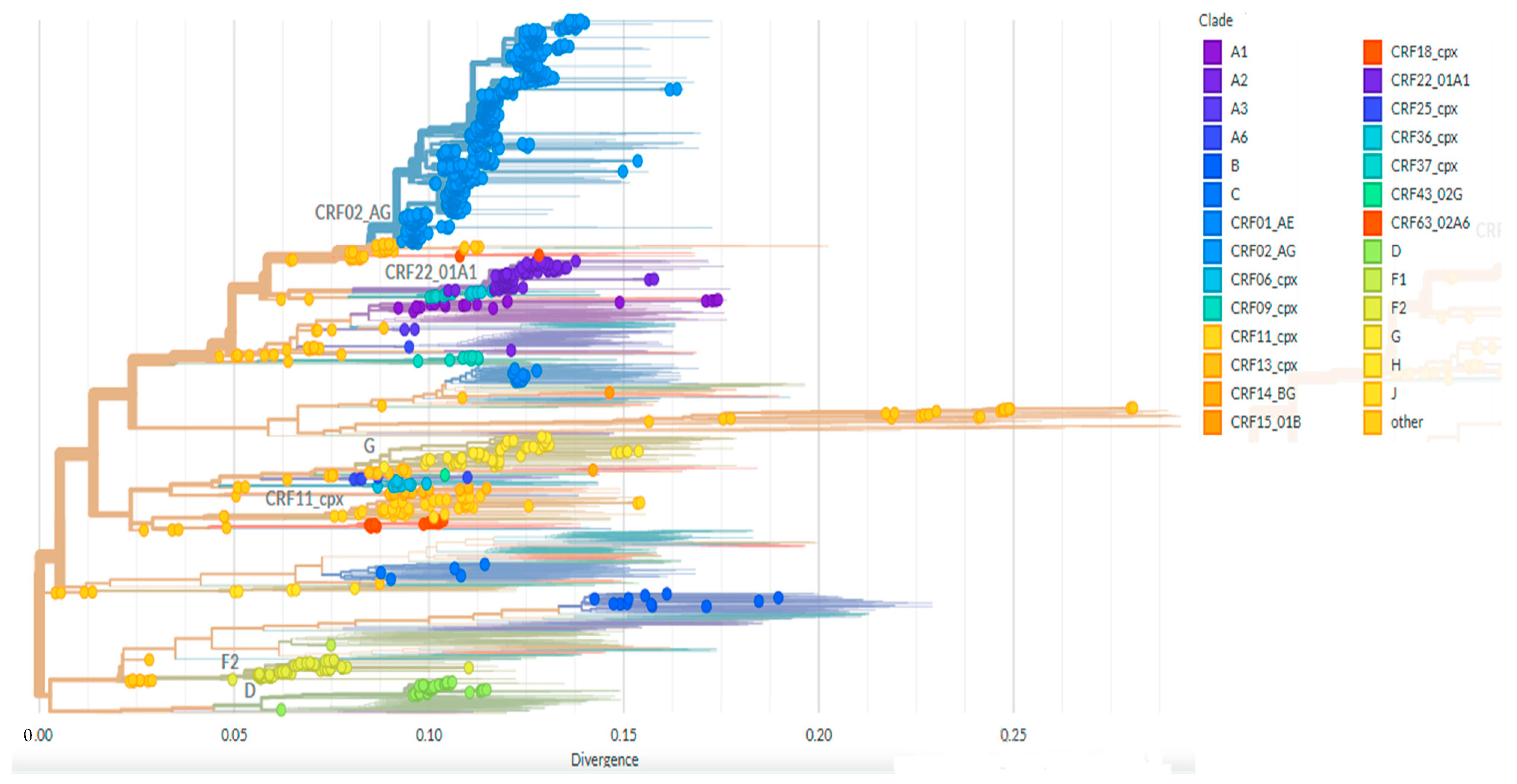 Viruses 17 00069 g001