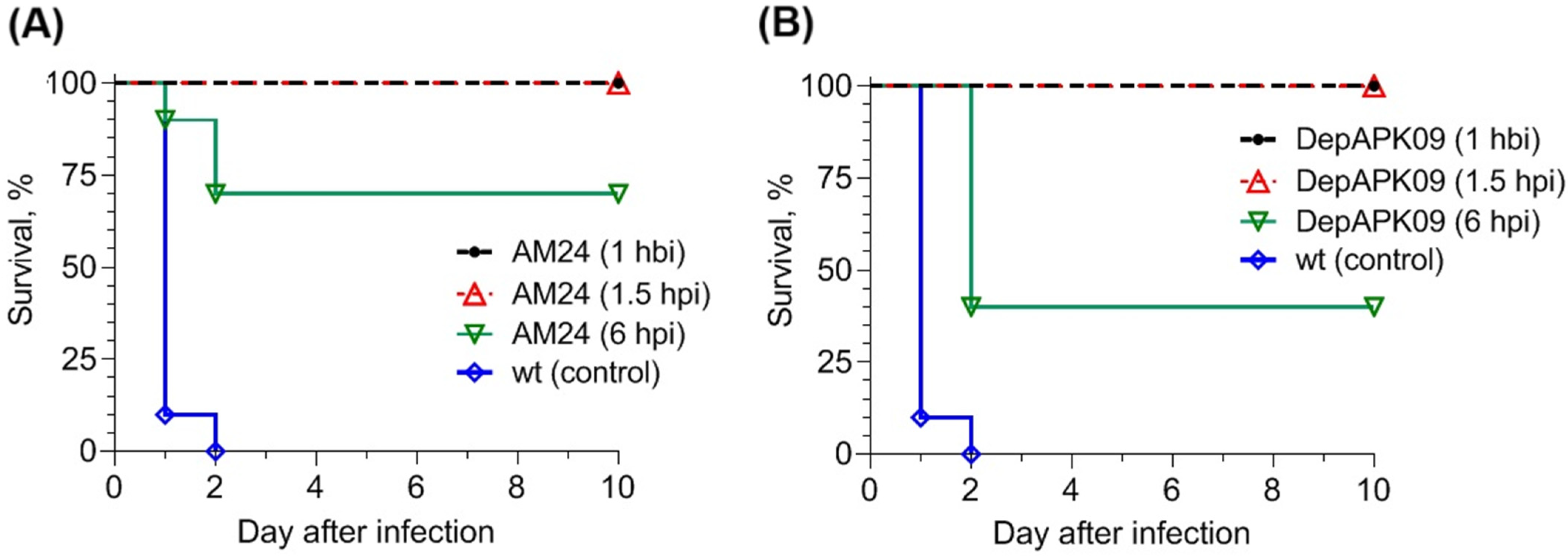 Viruses 17 00070 g002