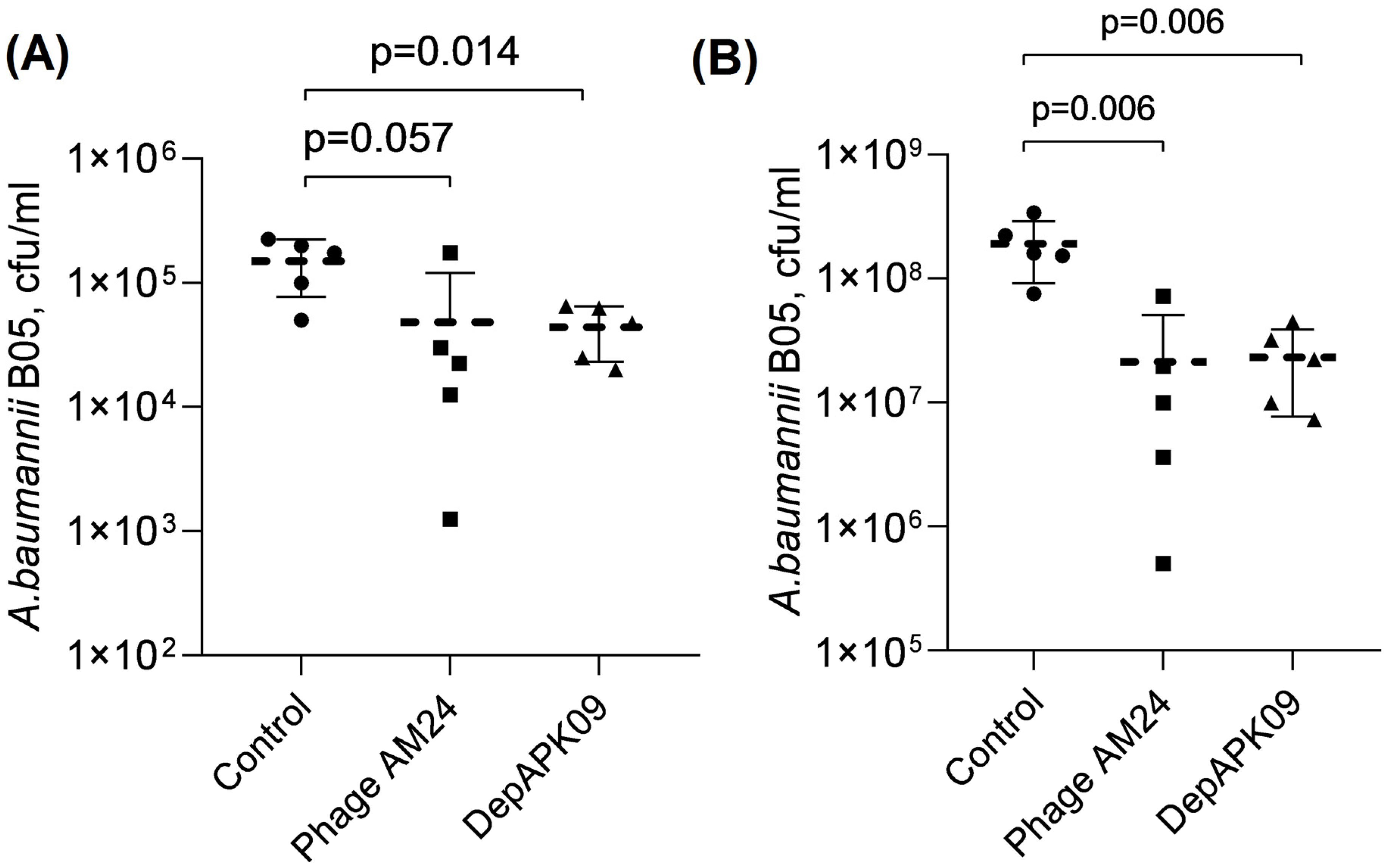 Viruses 17 00070 g003