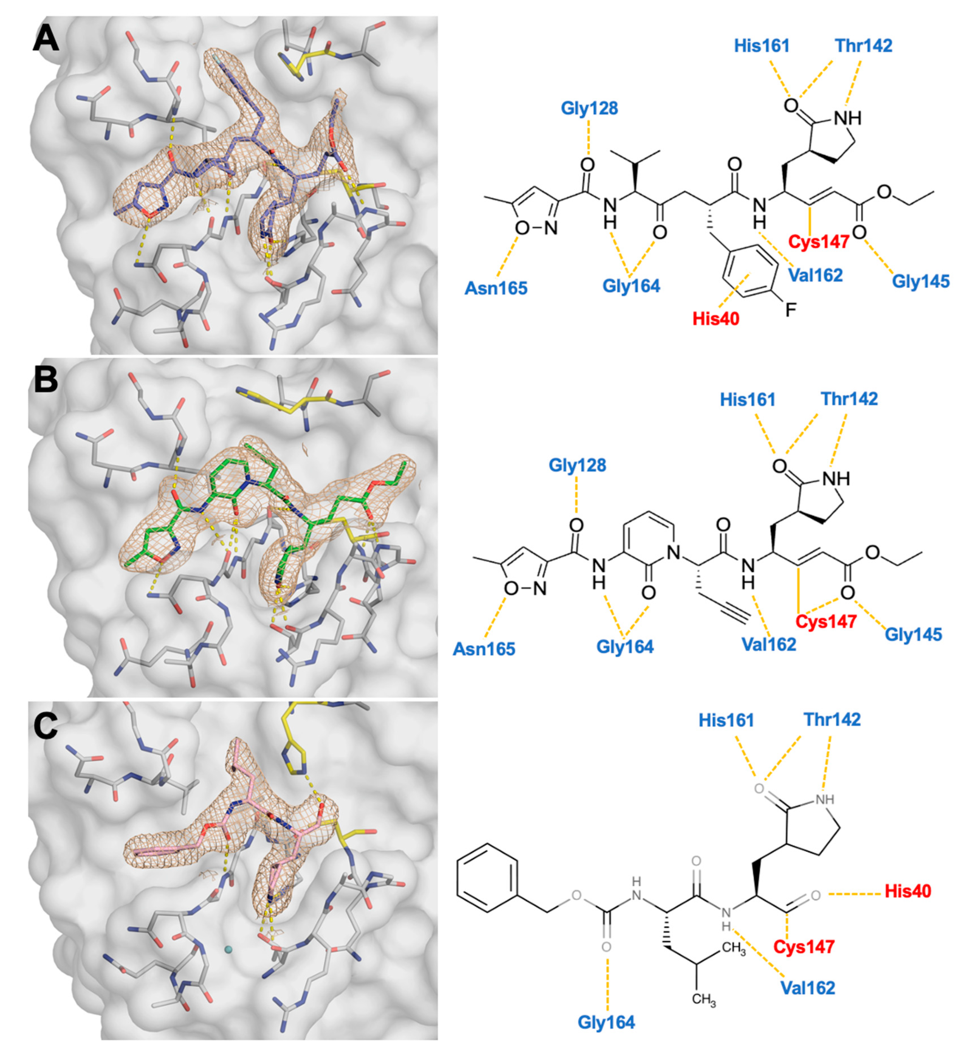 Viruses 17 00075 g002 Viruses 17 00075 g002