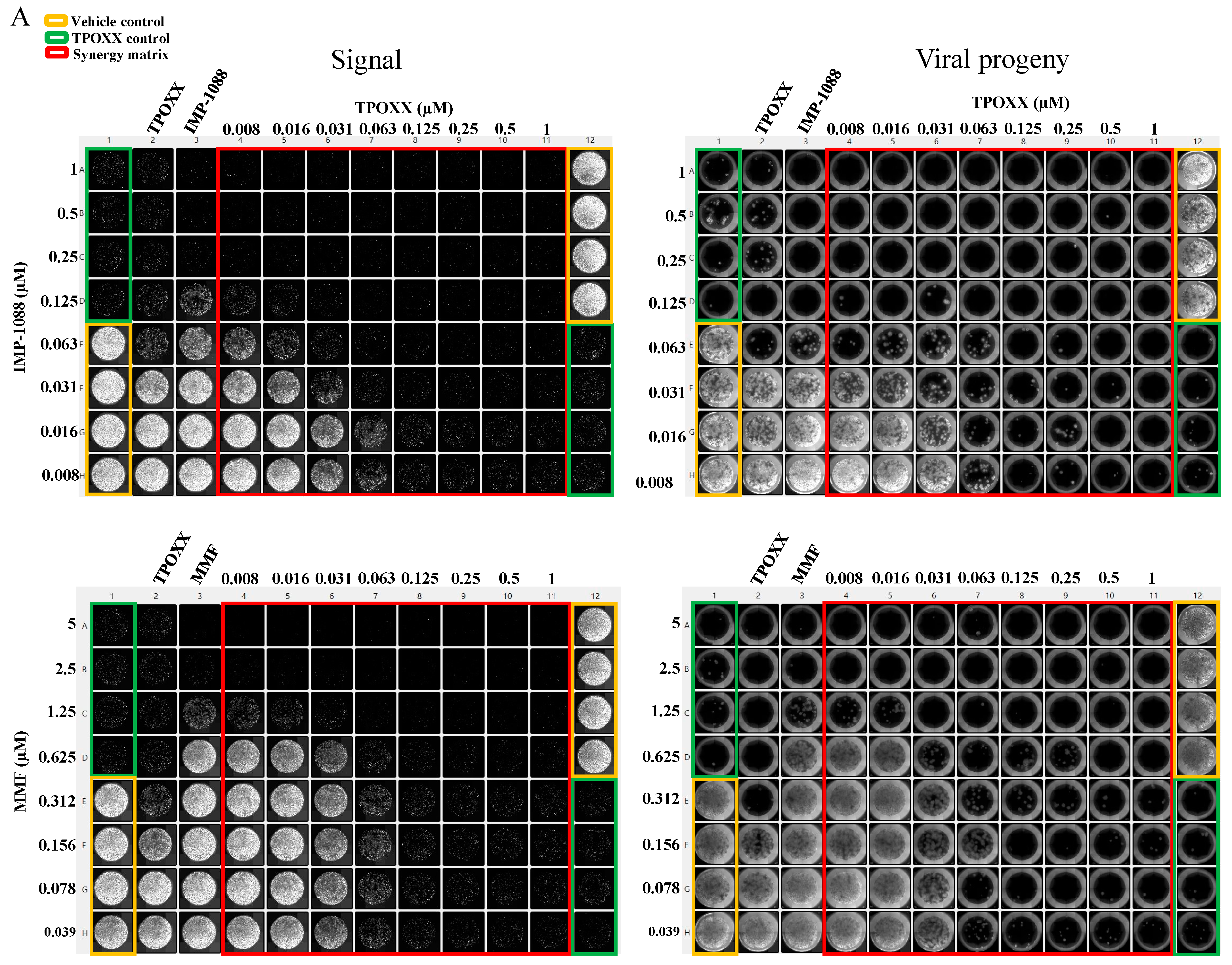 Viruses 17 00092 g003a
