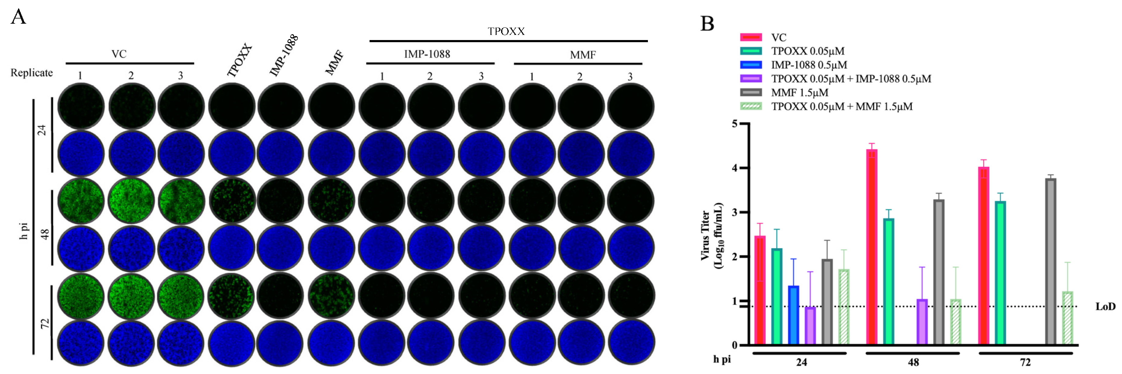 Viruses 17 00092 g004