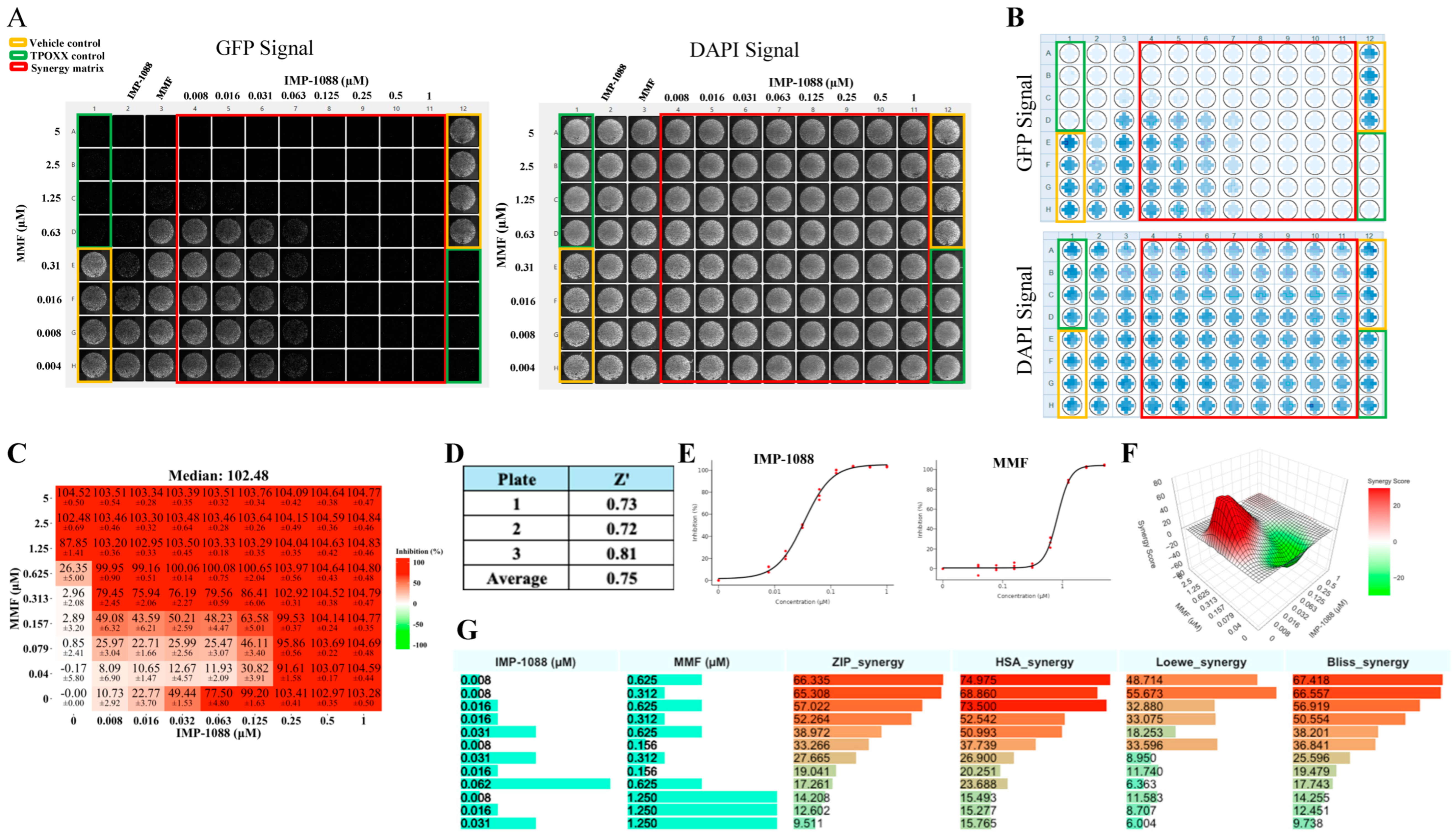 Viruses 17 00092 g005
