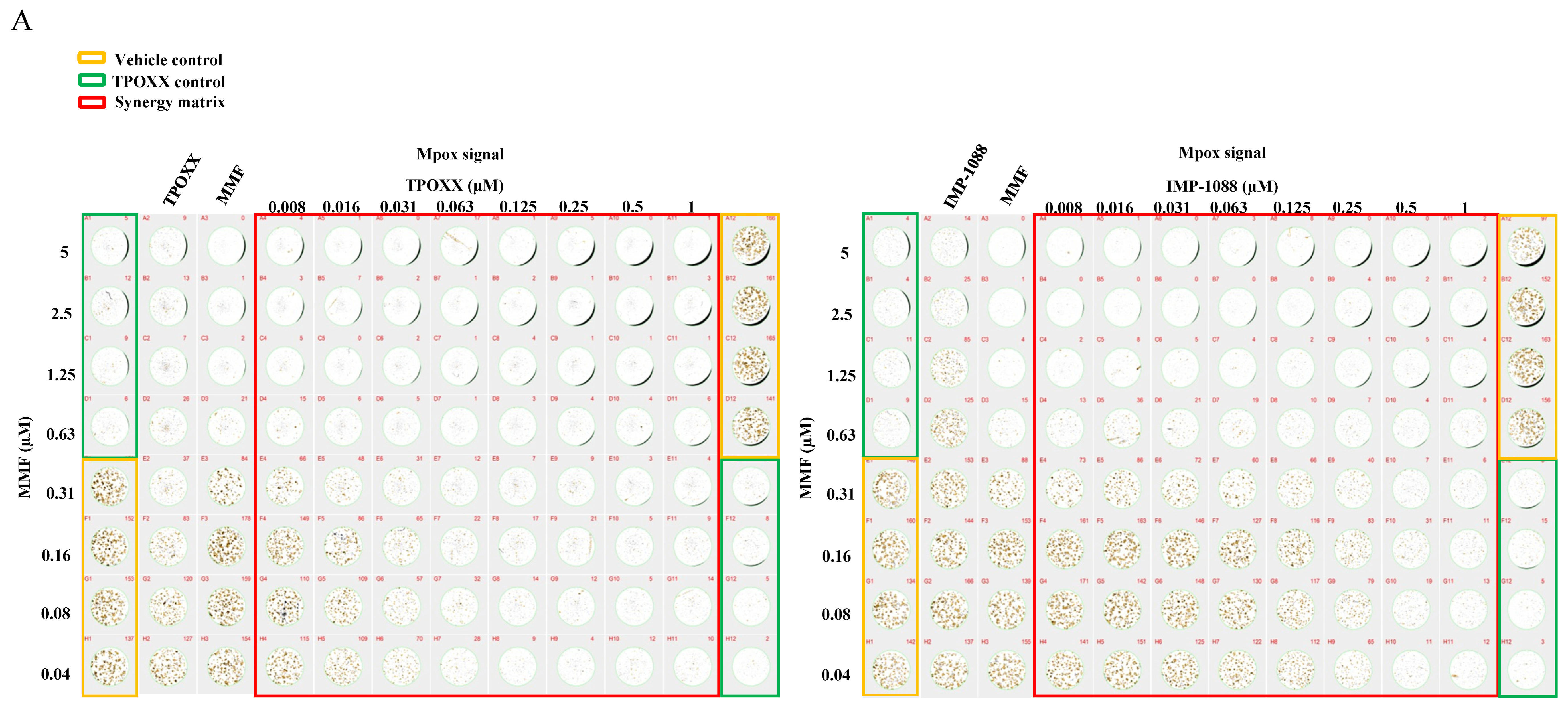 Viruses 17 00092 g006a