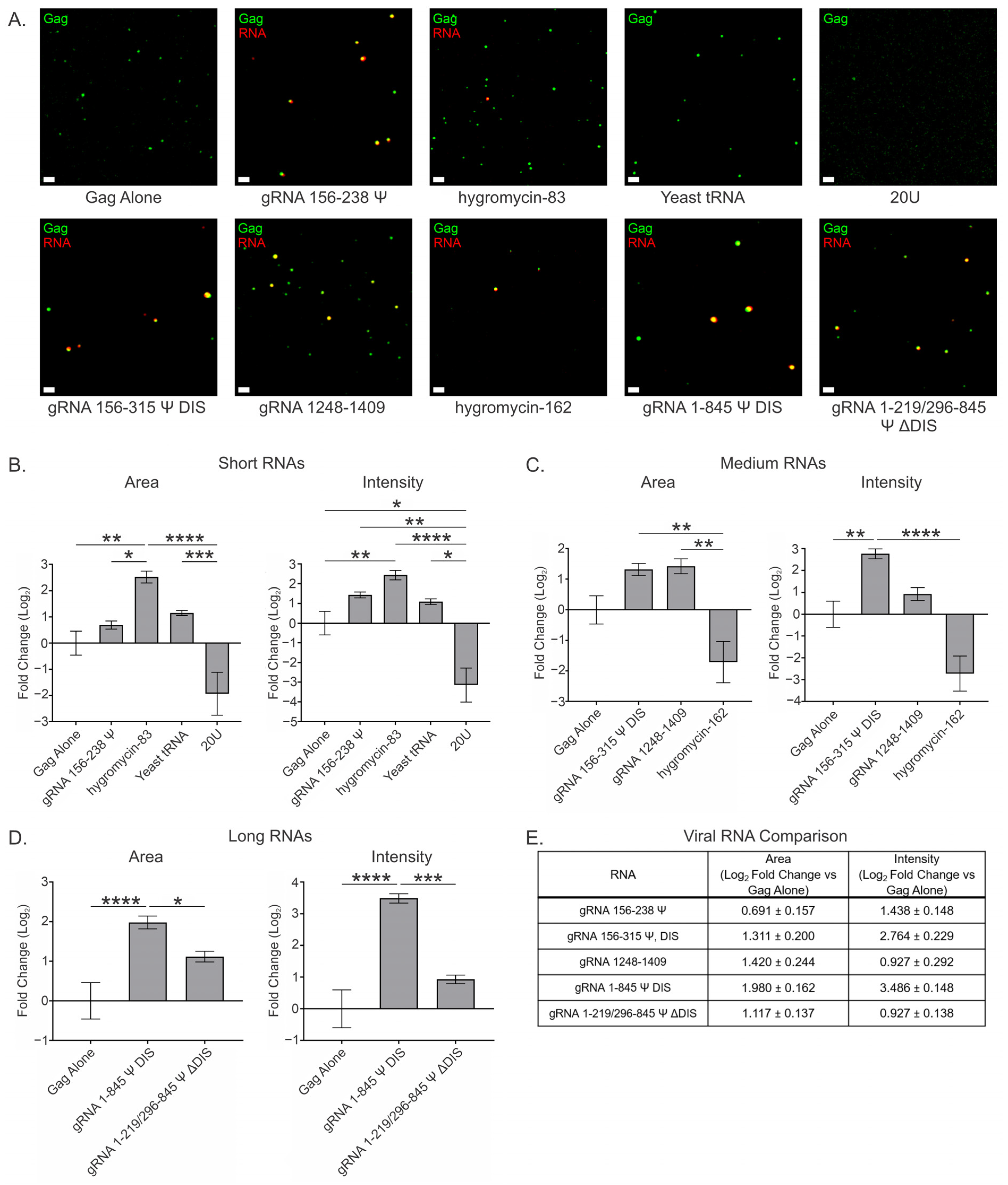 Viruses 17 00097 g002