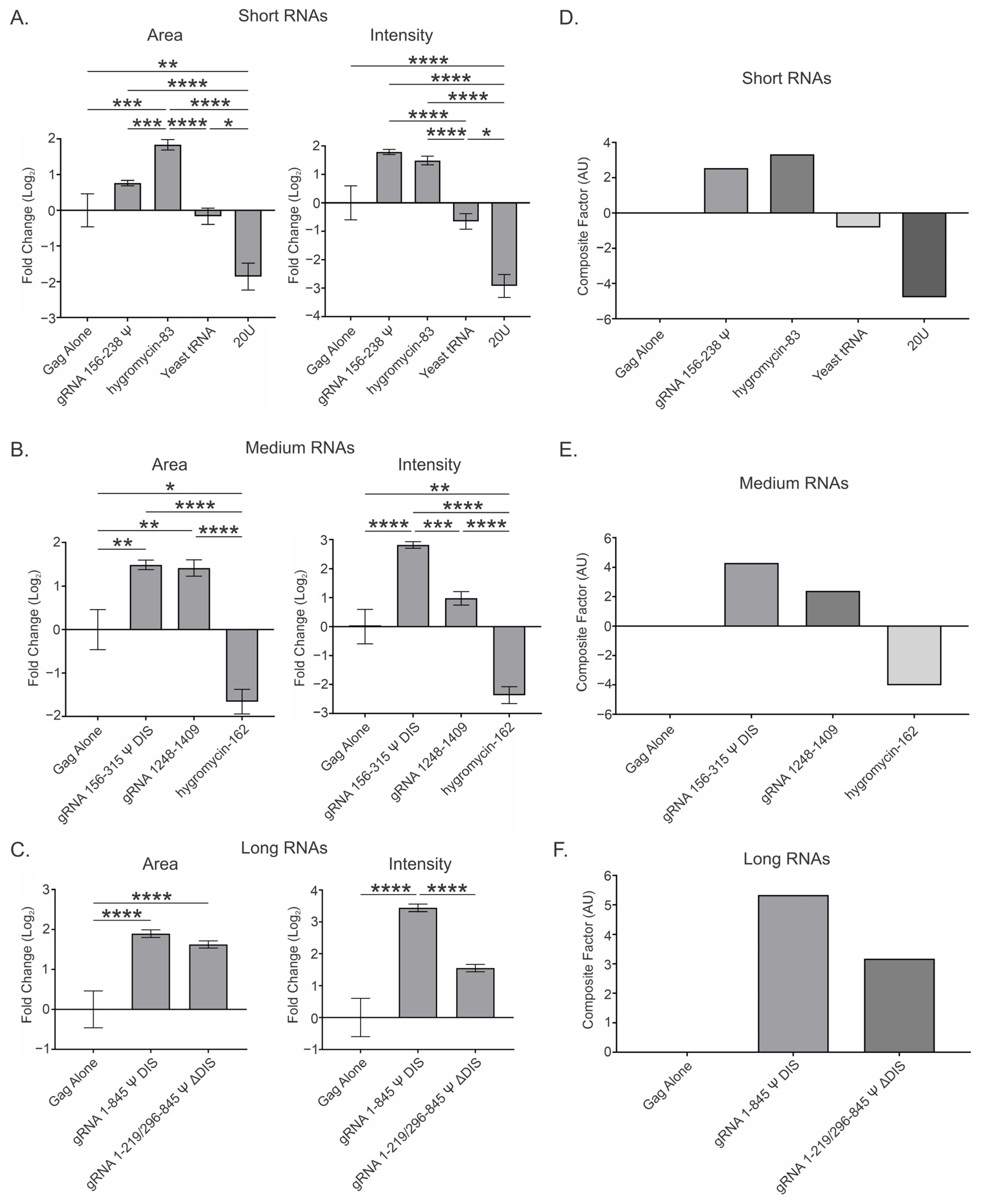 Viruses 17 00097 g003