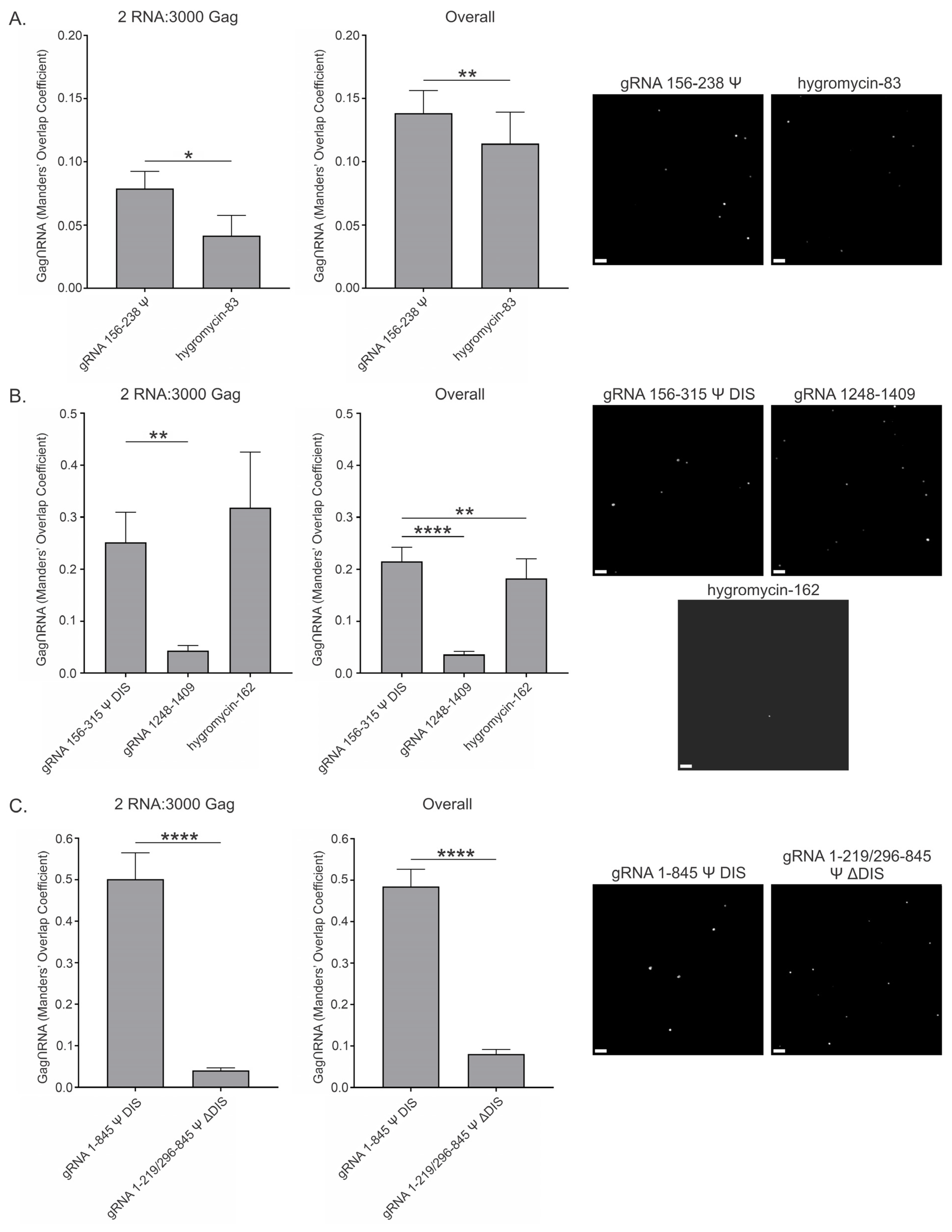 Viruses 17 00097 g006