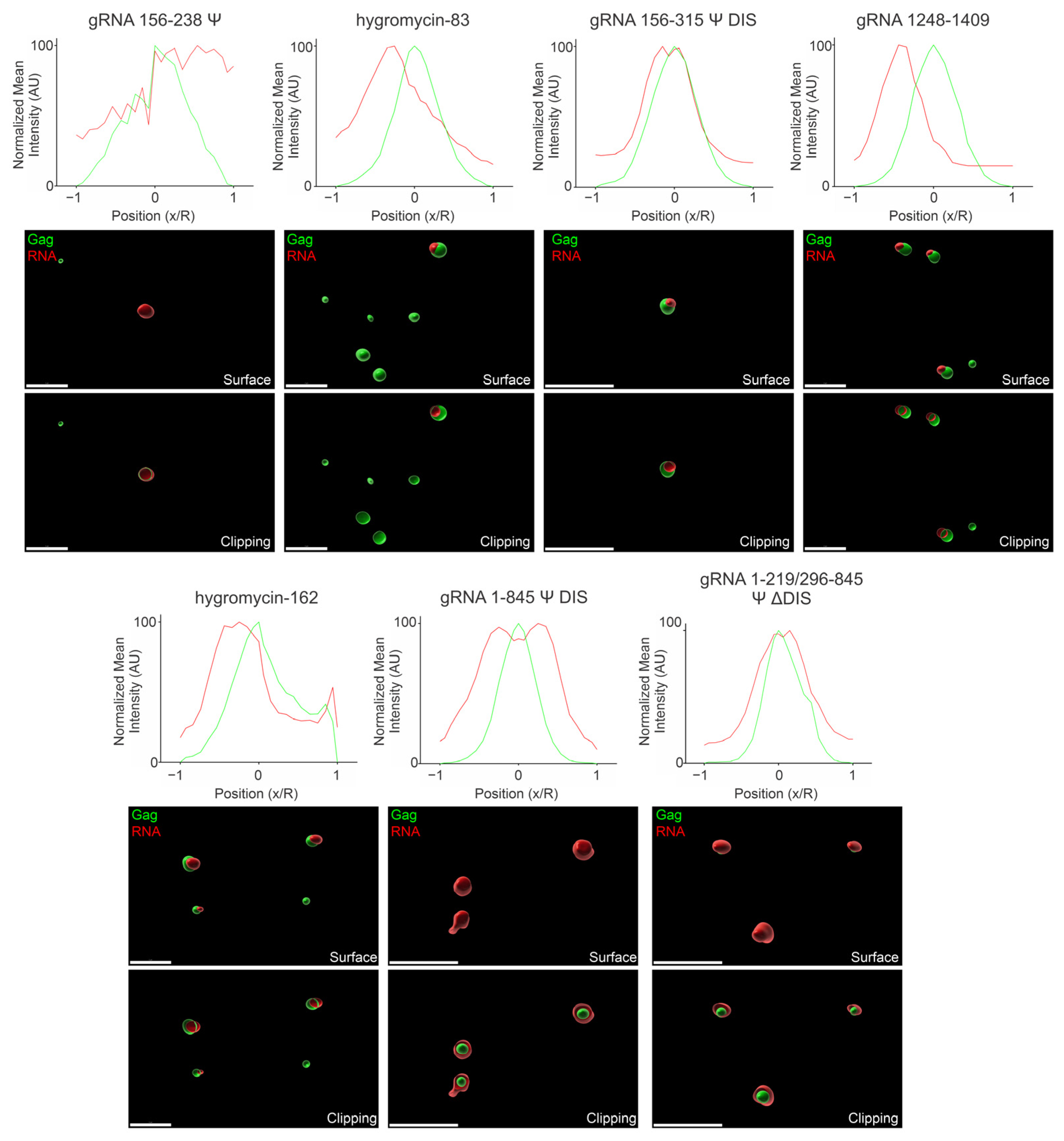 Viruses 17 00097 g008