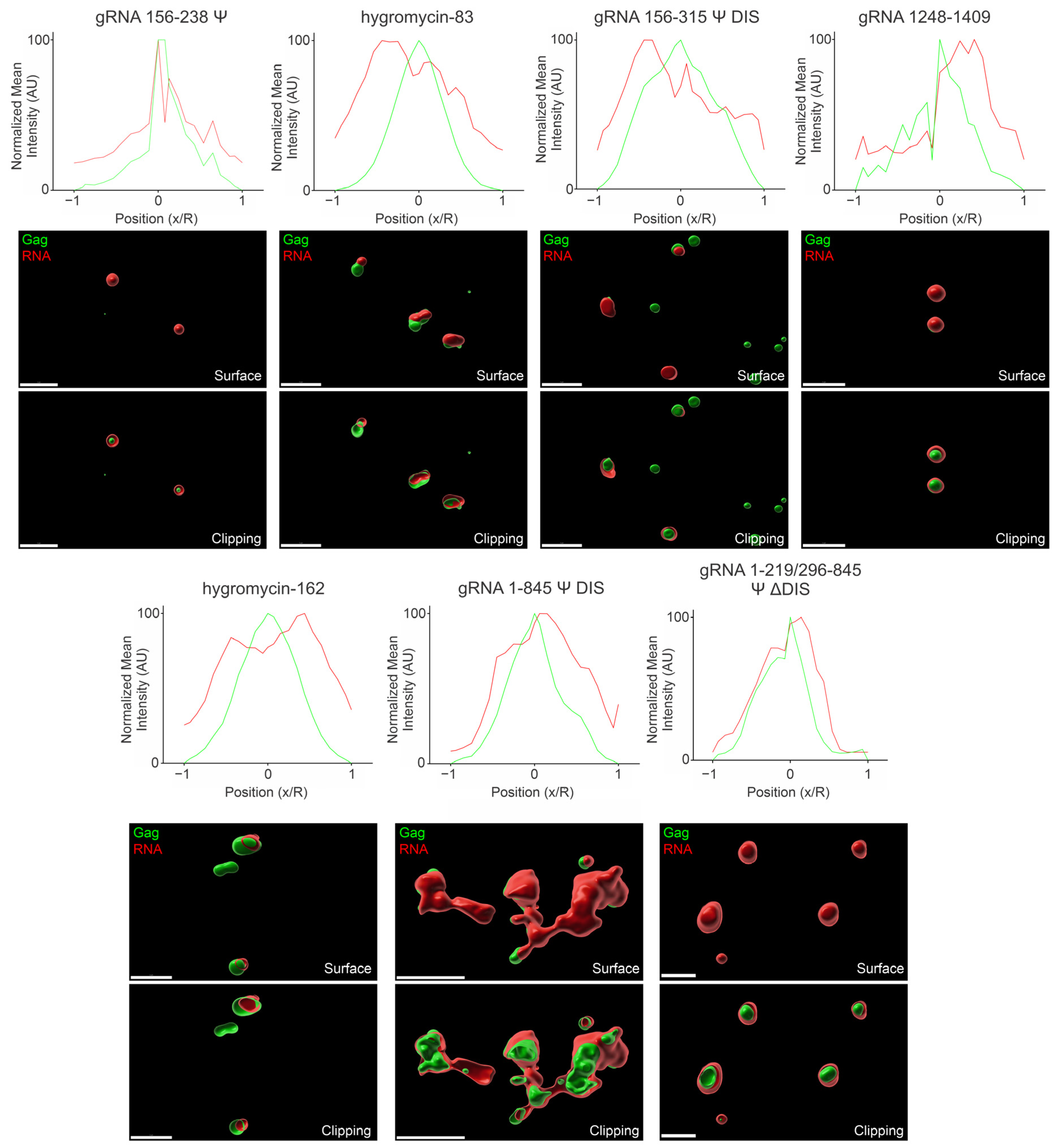 Viruses 17 00097 g009
