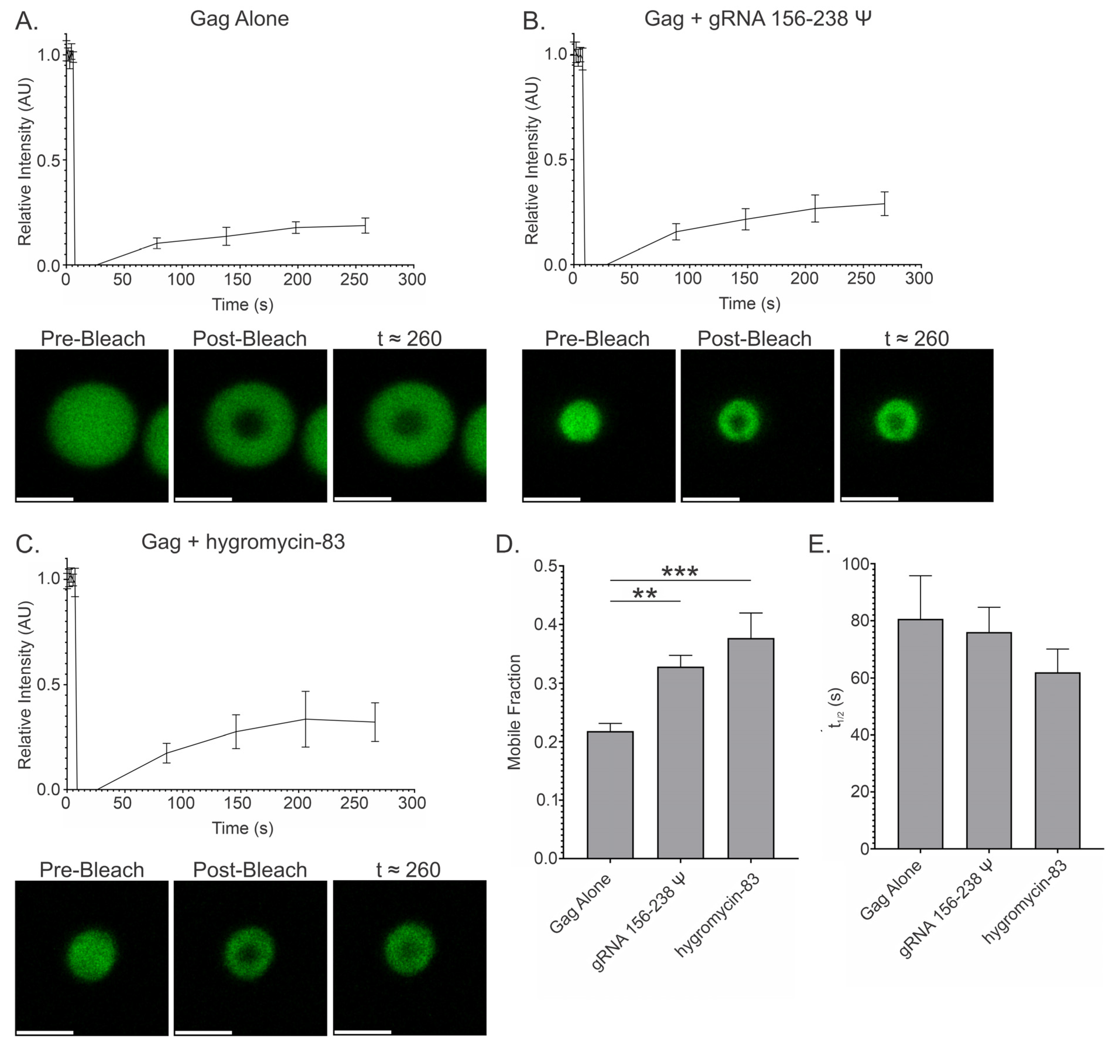 Viruses 17 00097 g011