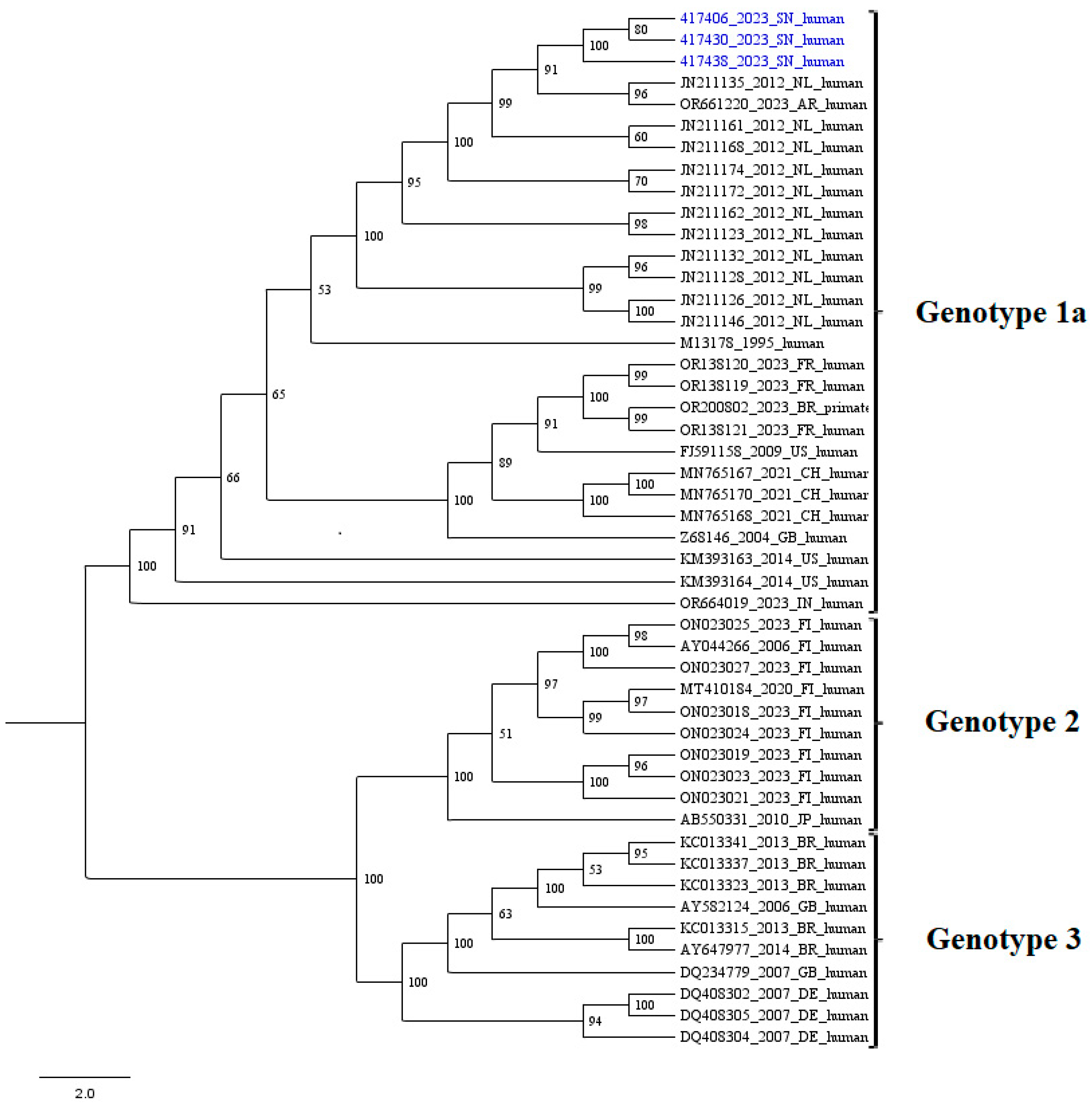 Viruses 17 00111 g001 Viruses 17 00111 g001