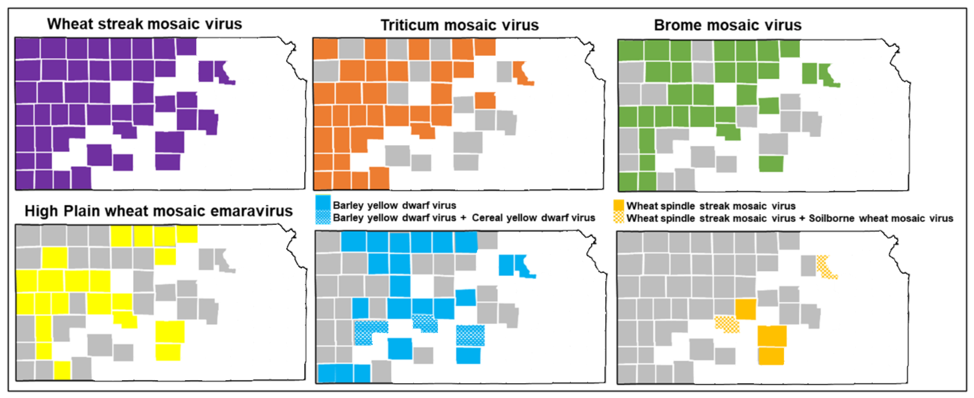 Viruses 17 00126 g001 Viruses 17 00126 g001