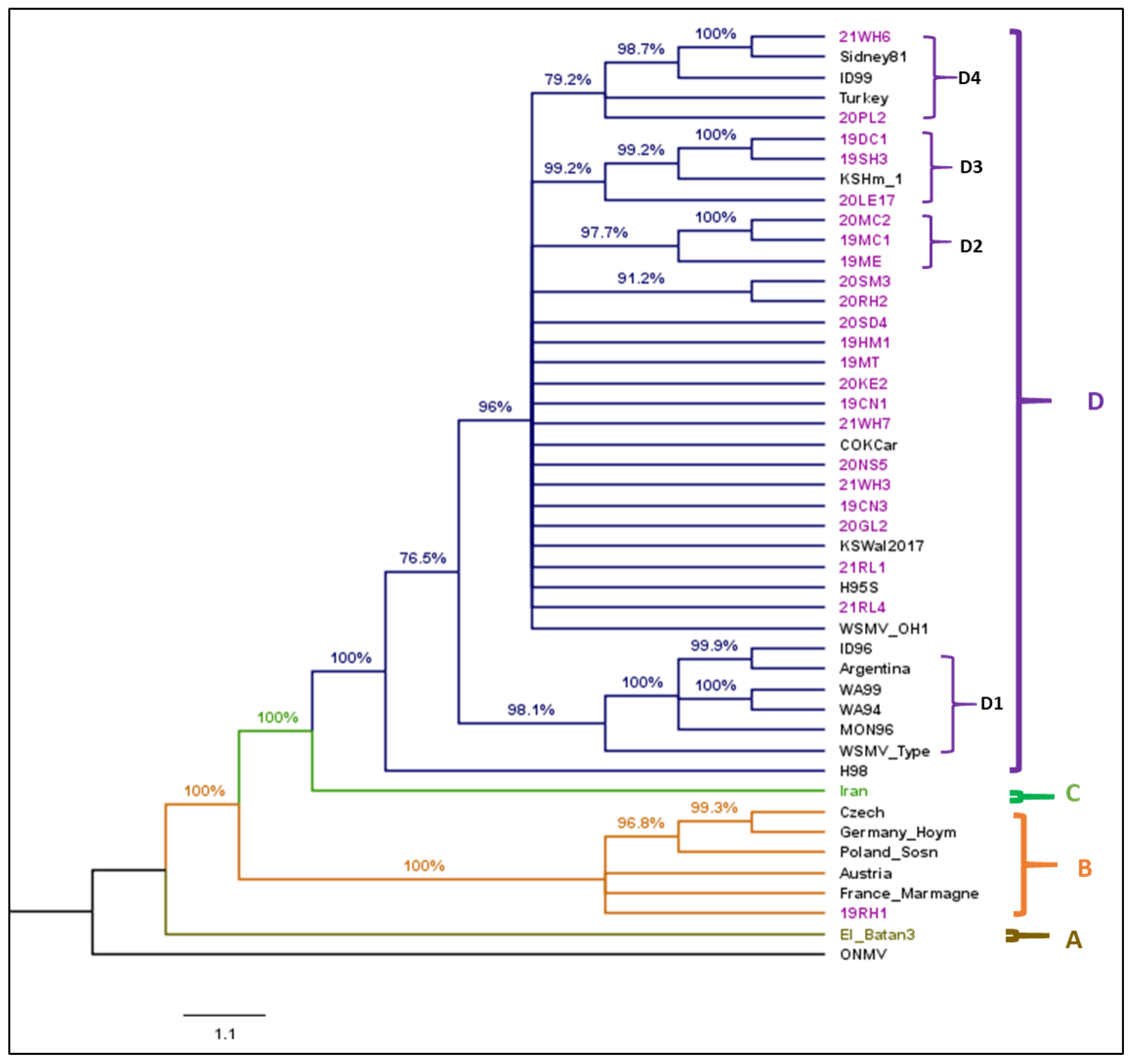 Viruses 17 00126 g003 Viruses 17 00126 g003