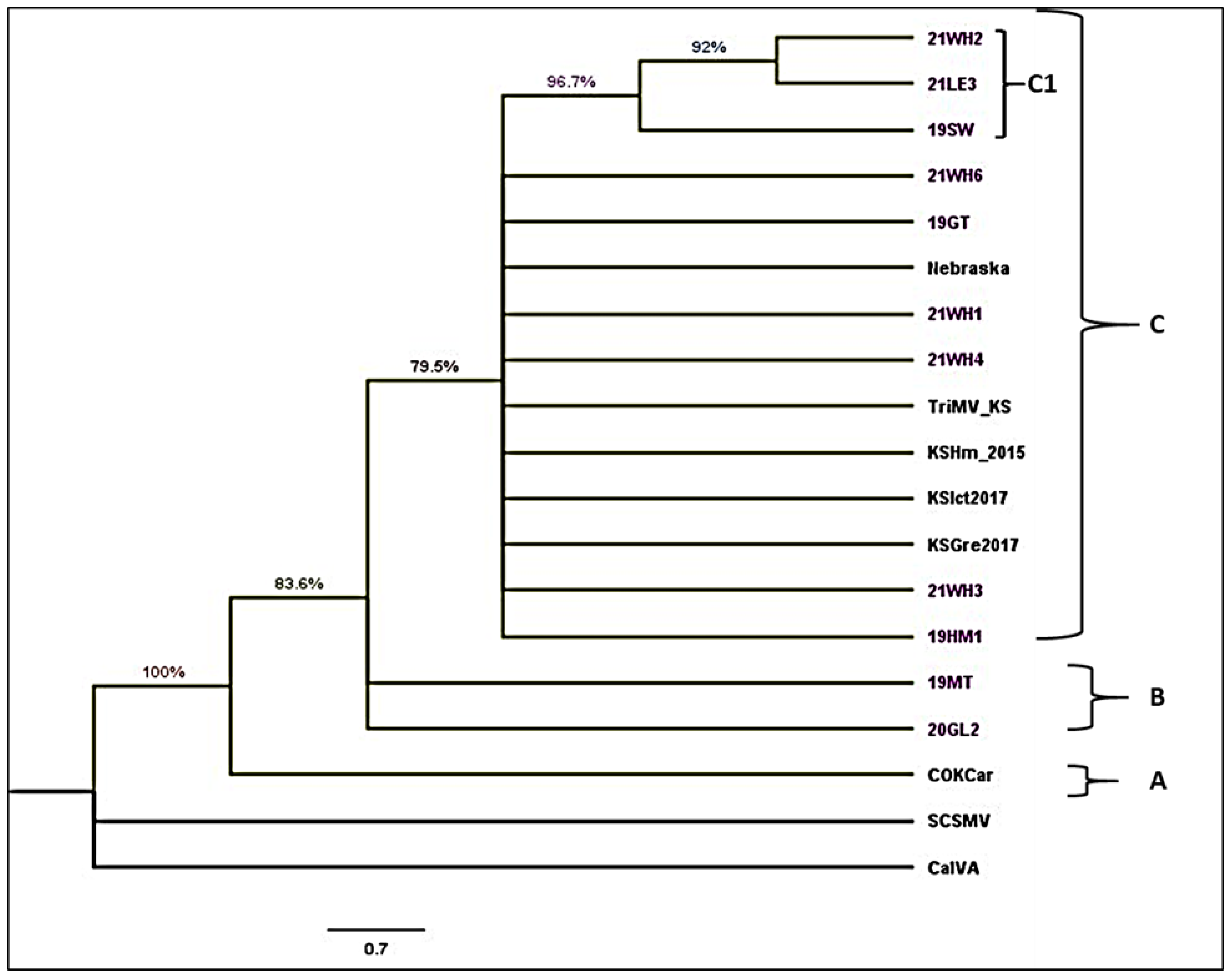 Viruses 17 00126 g004 Viruses 17 00126 g004
