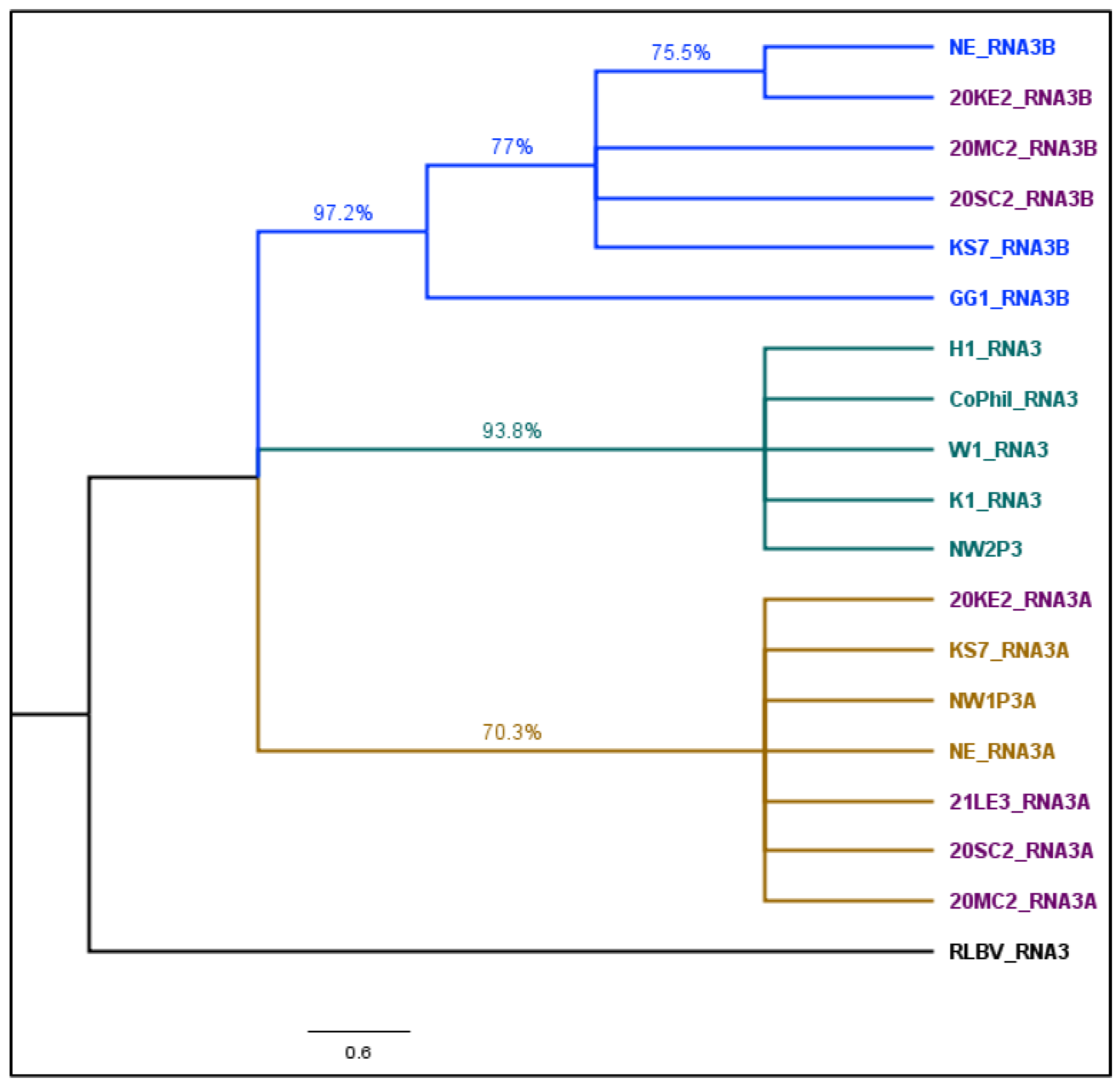 Viruses 17 00126 g005 Viruses 17 00126 g005