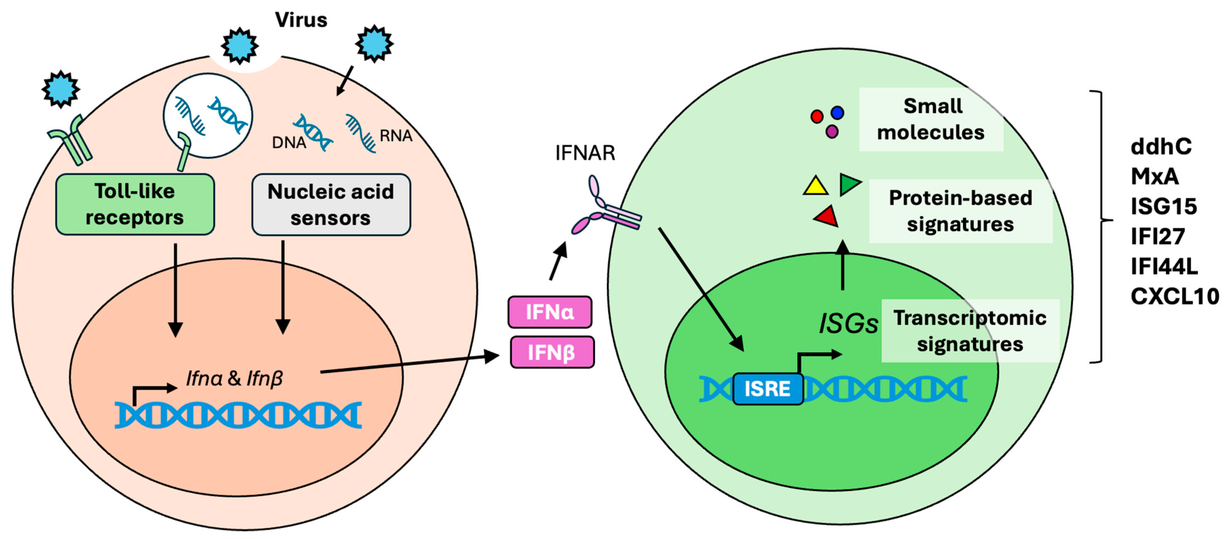 Viruses 17 00132 g001