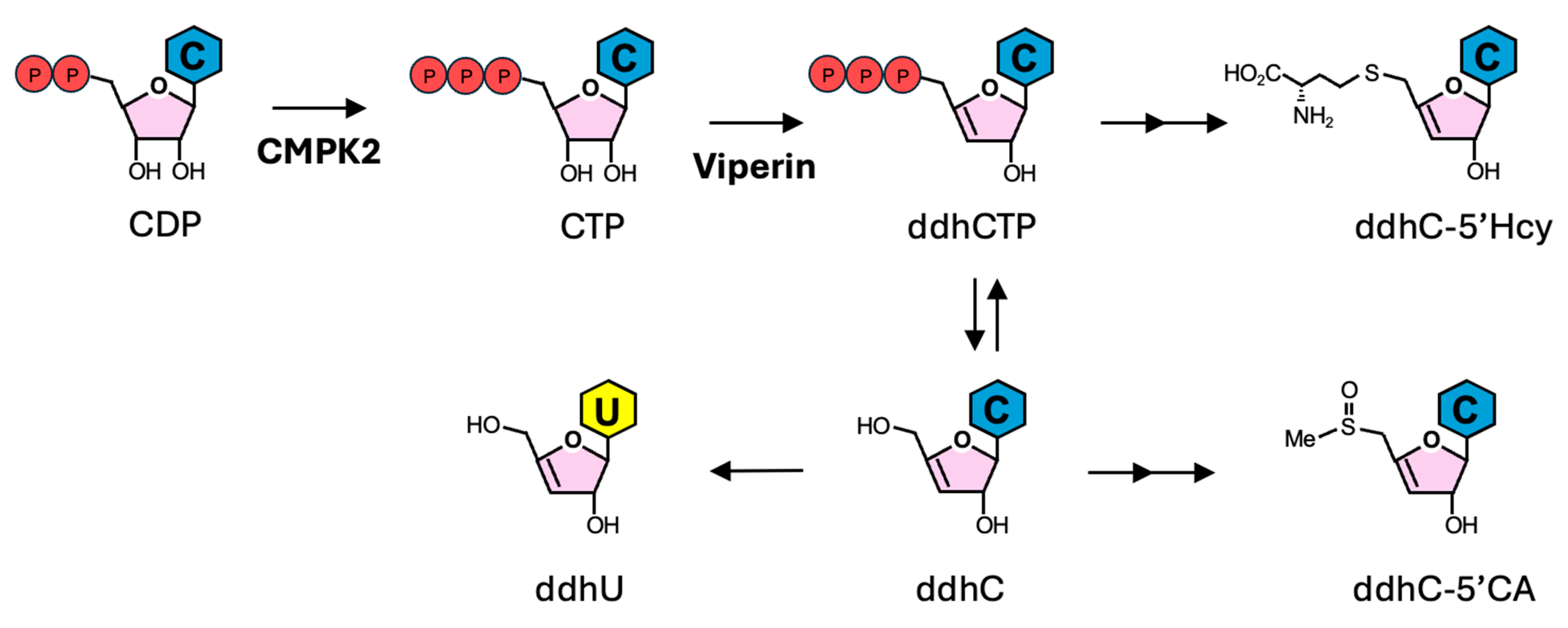 Viruses 17 00132 g002