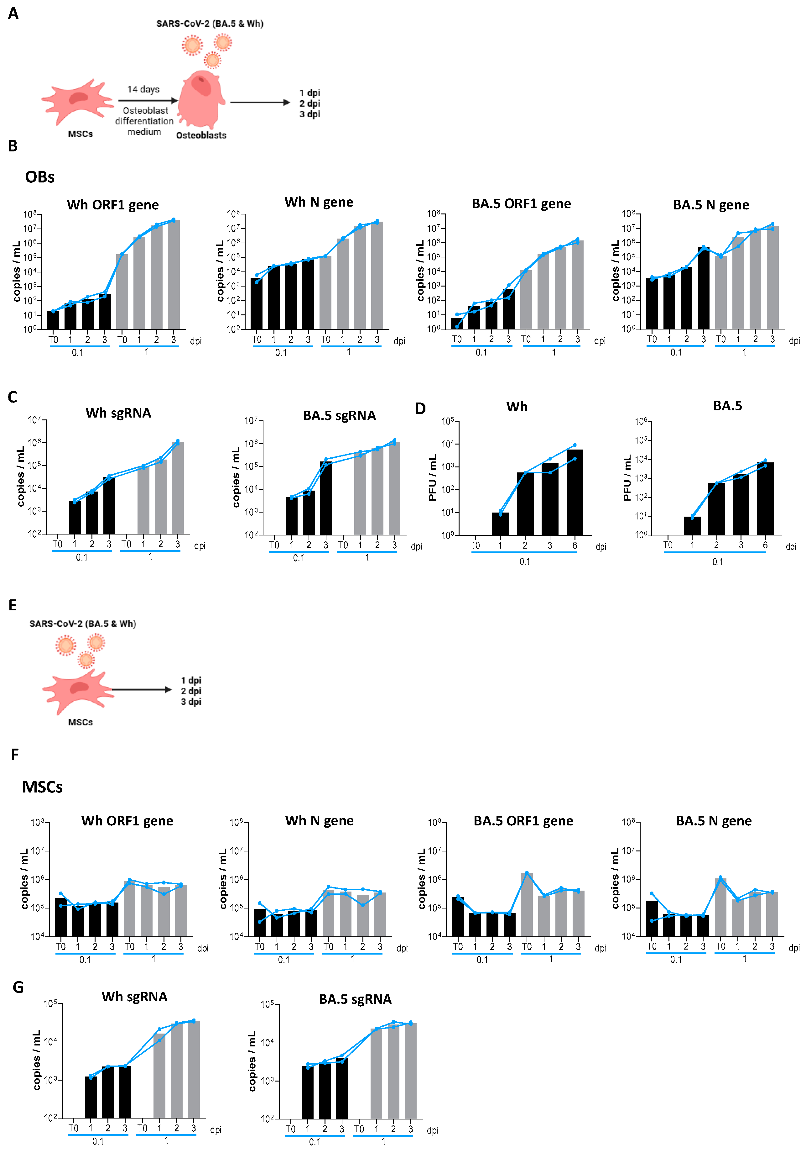 Viruses 17 00143 g001 Viruses 17 00143 g001