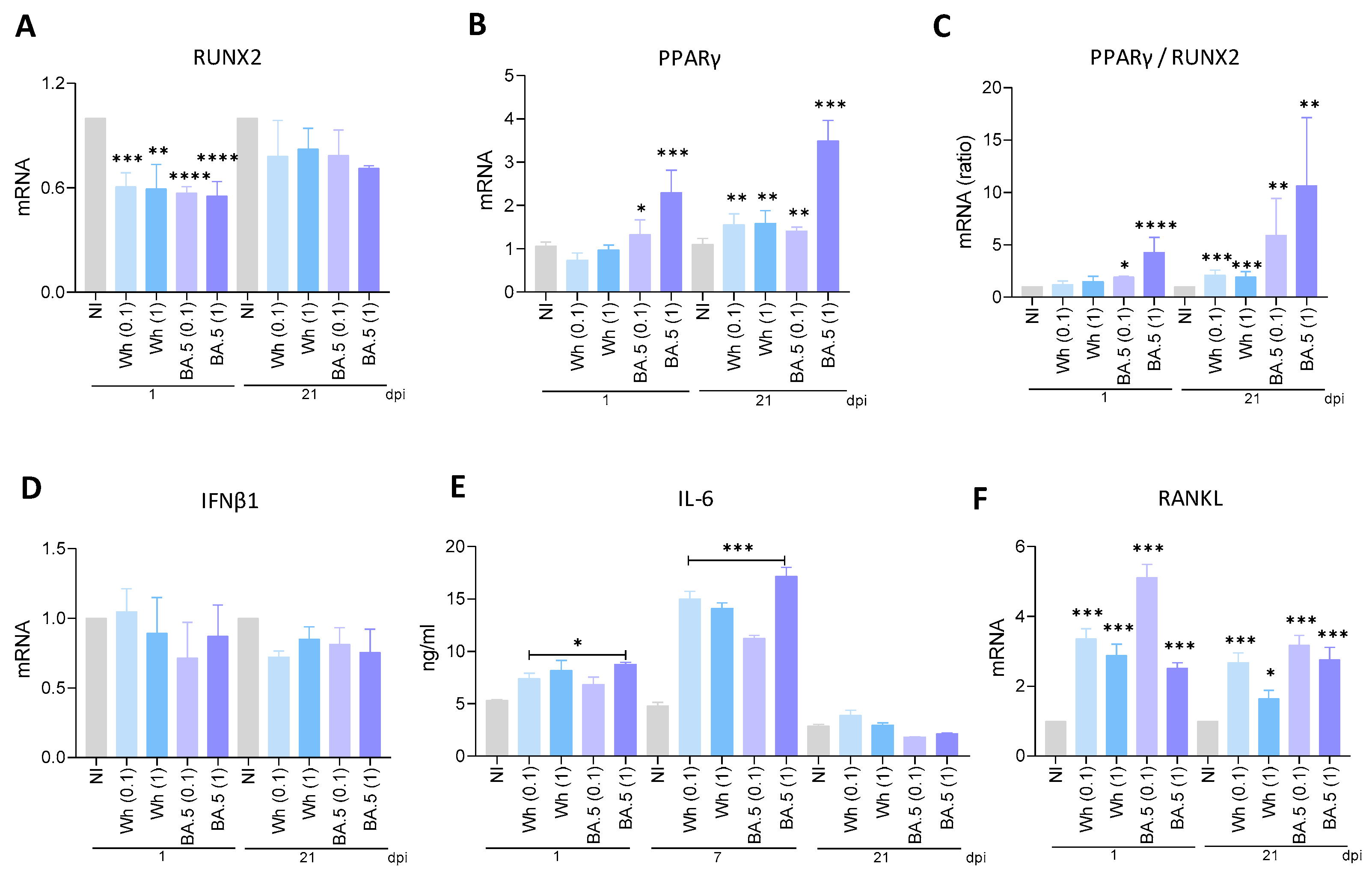 Viruses 17 00143 g005 Viruses 17 00143 g005