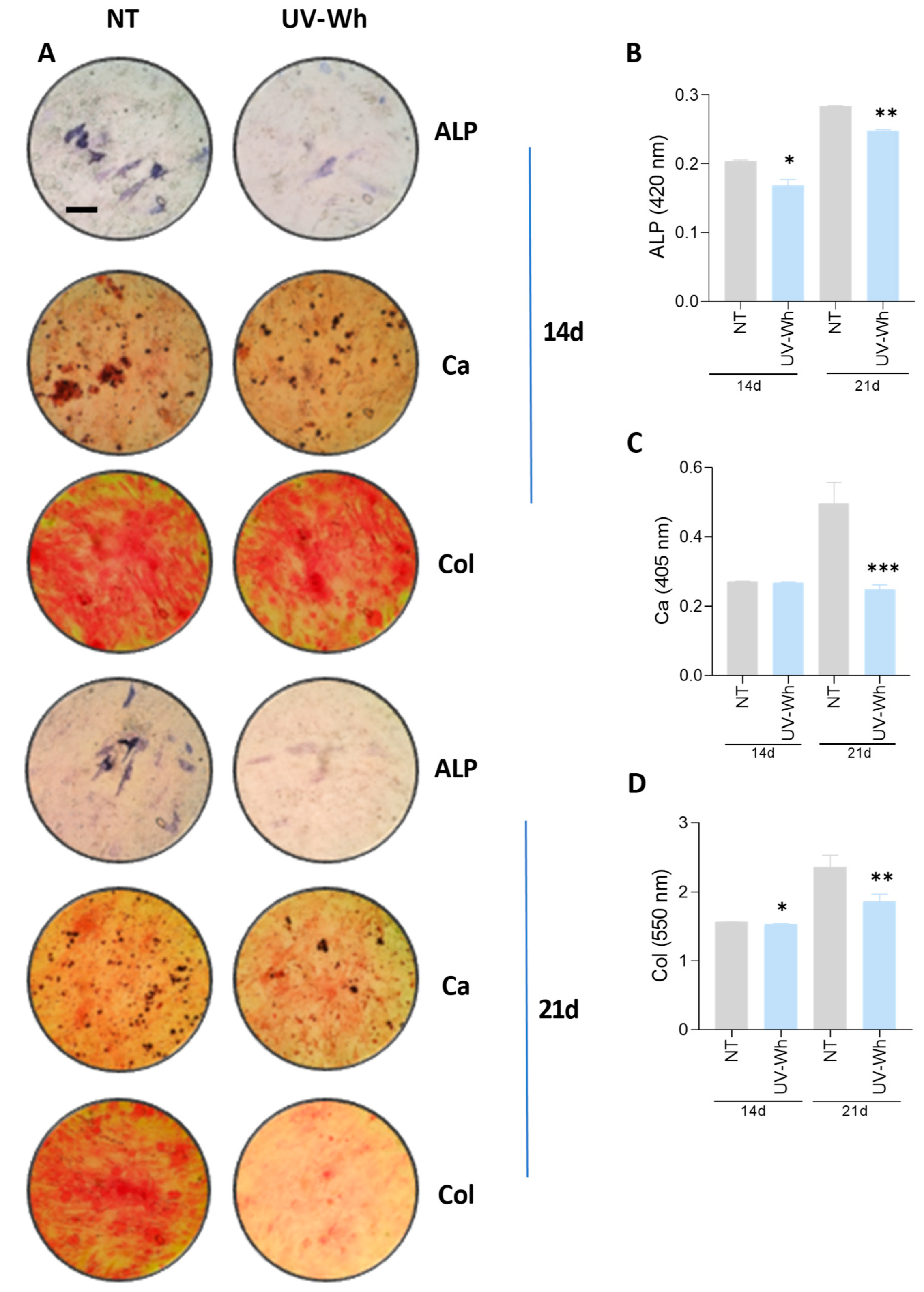 Viruses 17 00143 g006 Viruses 17 00143 g006