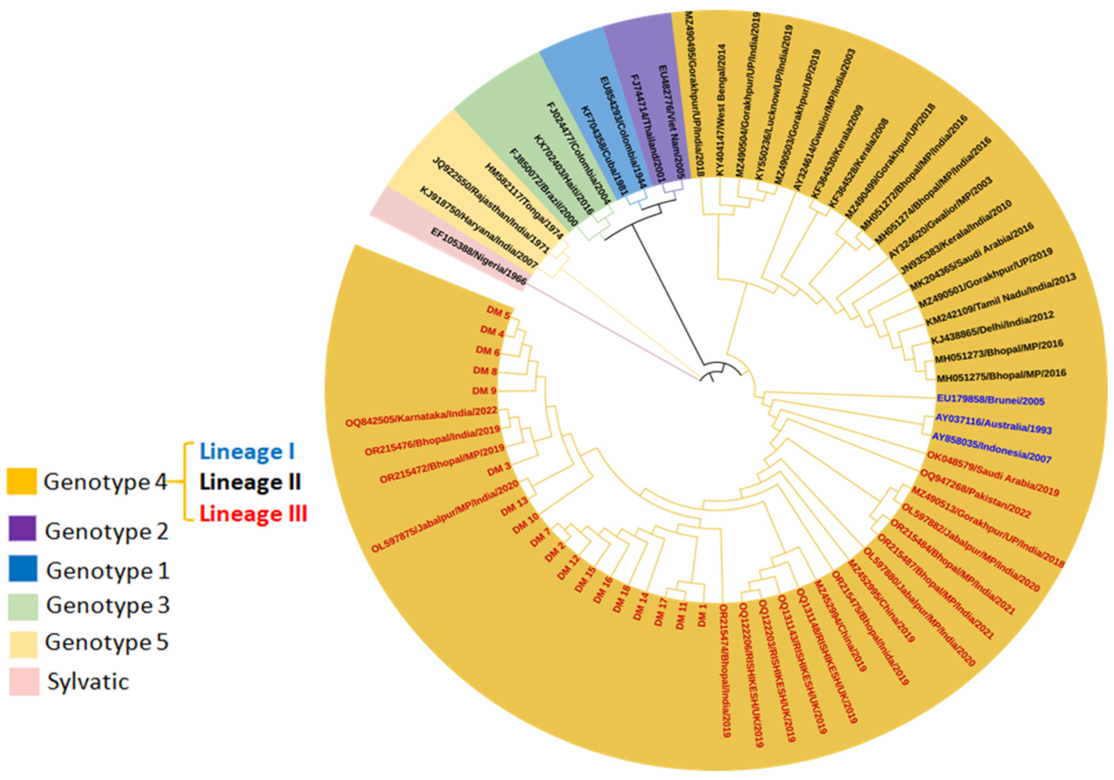Viruses 17 00144 g005
