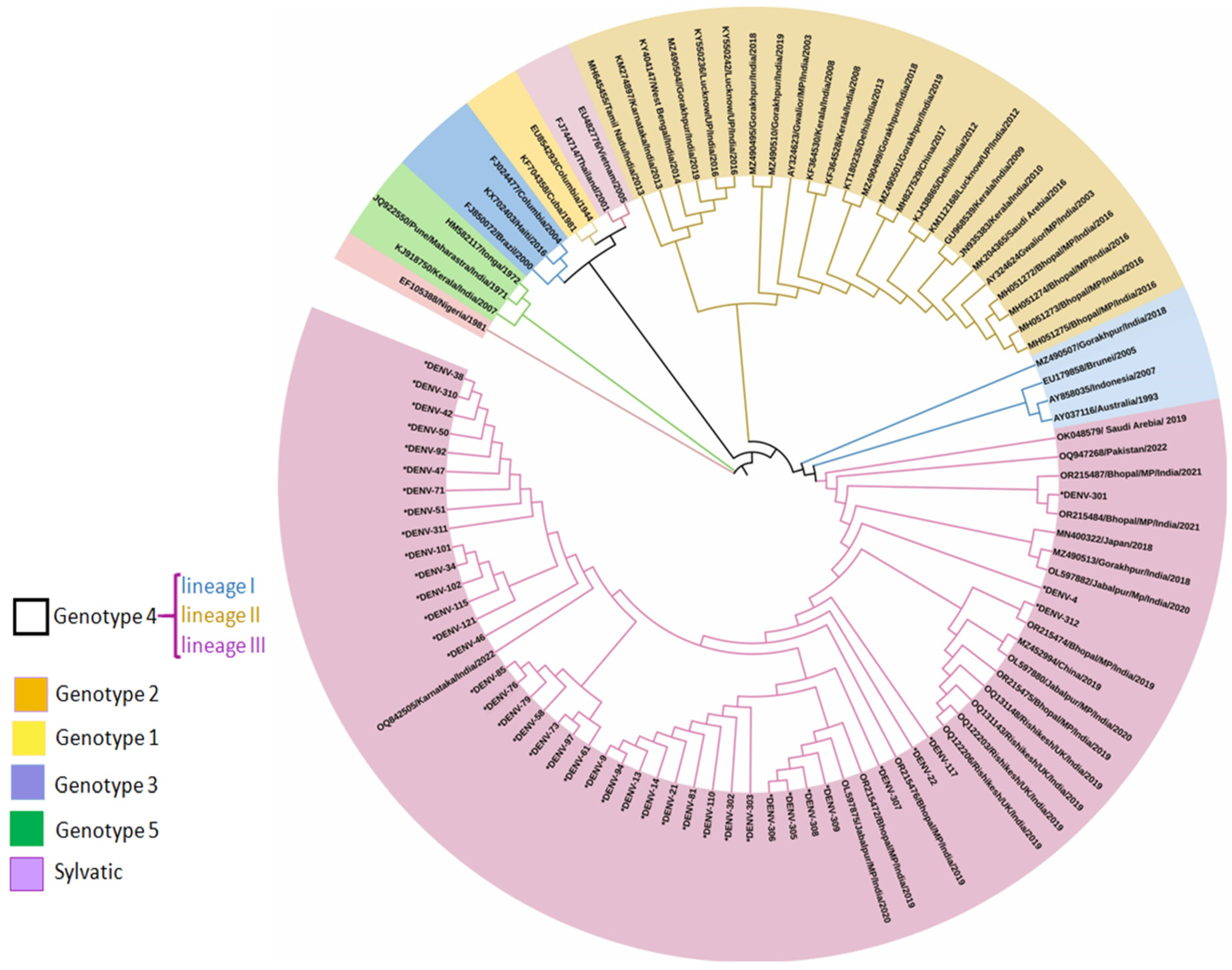 Viruses 17 00144 g006