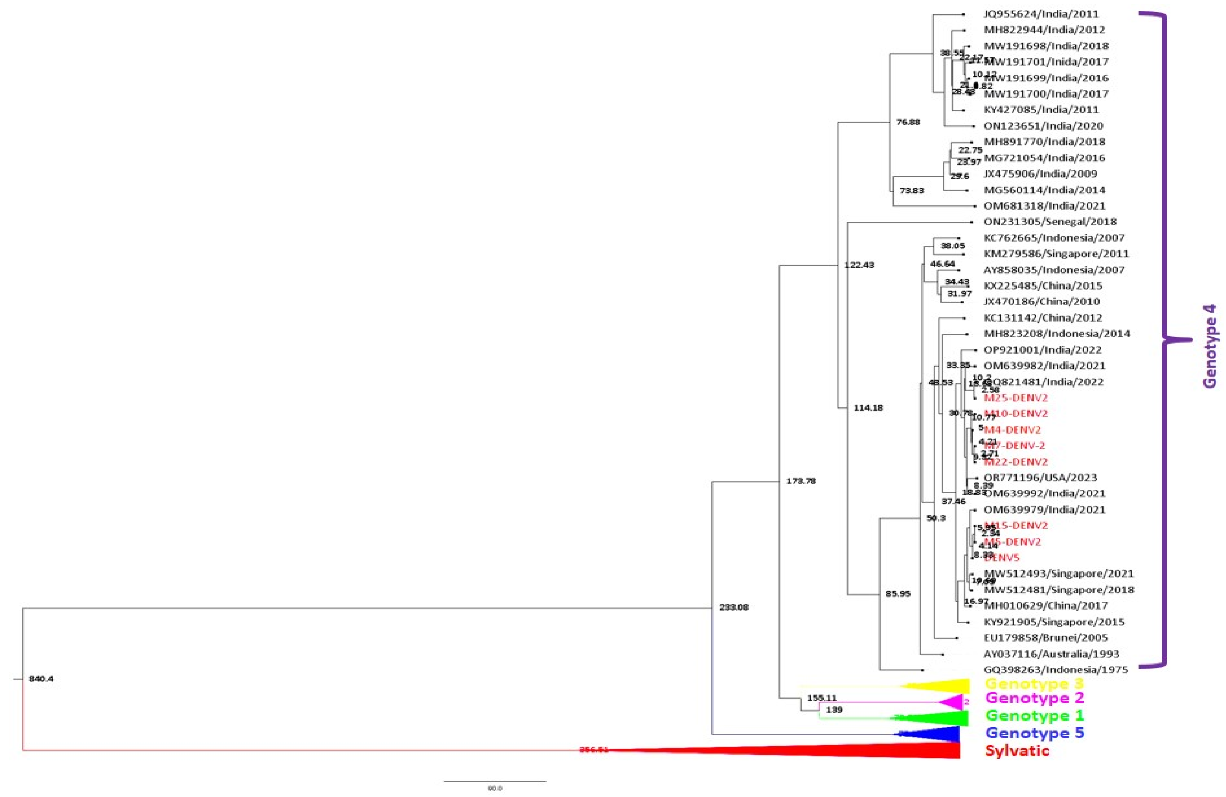 Viruses 17 00144 g009