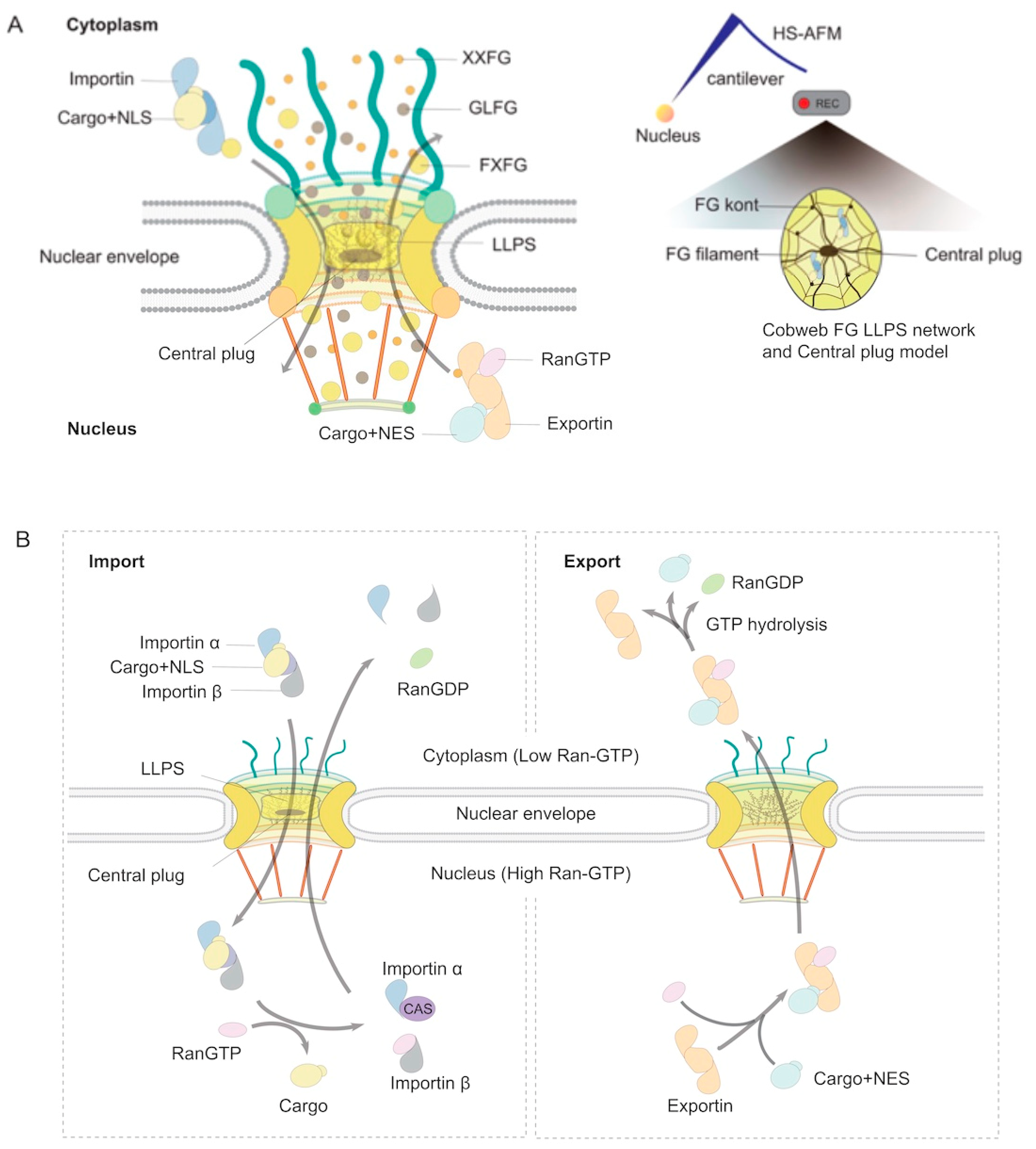 Viruses 17 00151 g002