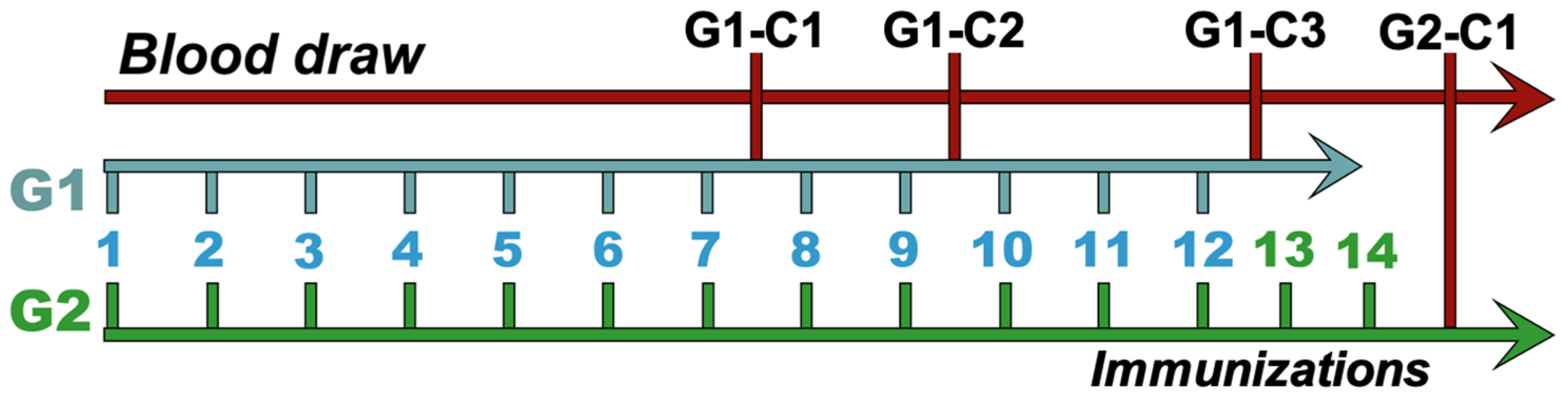 Viruses 17 00165 g001 Viruses 17 00165 g001