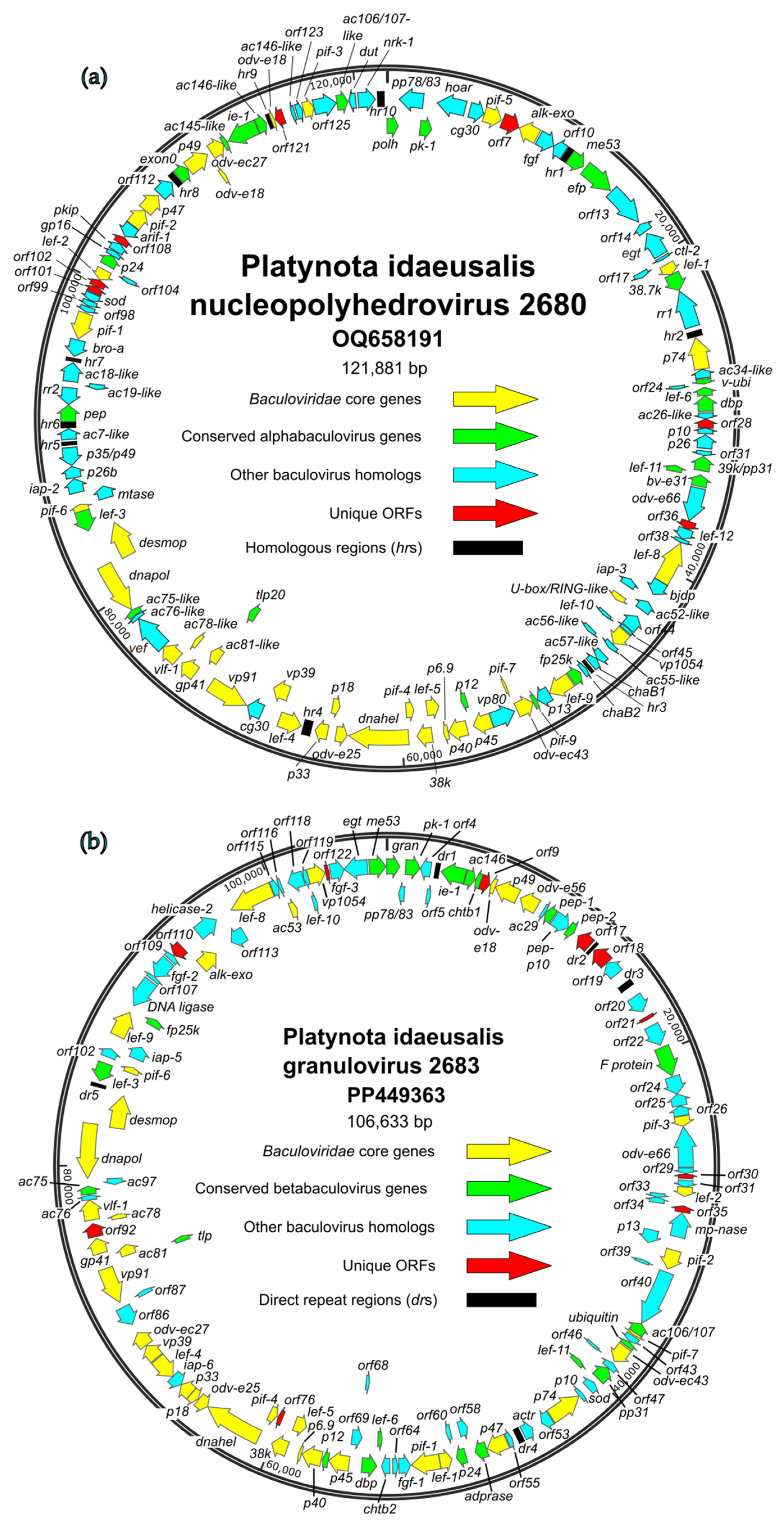 Viruses 17 00202 g003 Viruses 17 00202 g003