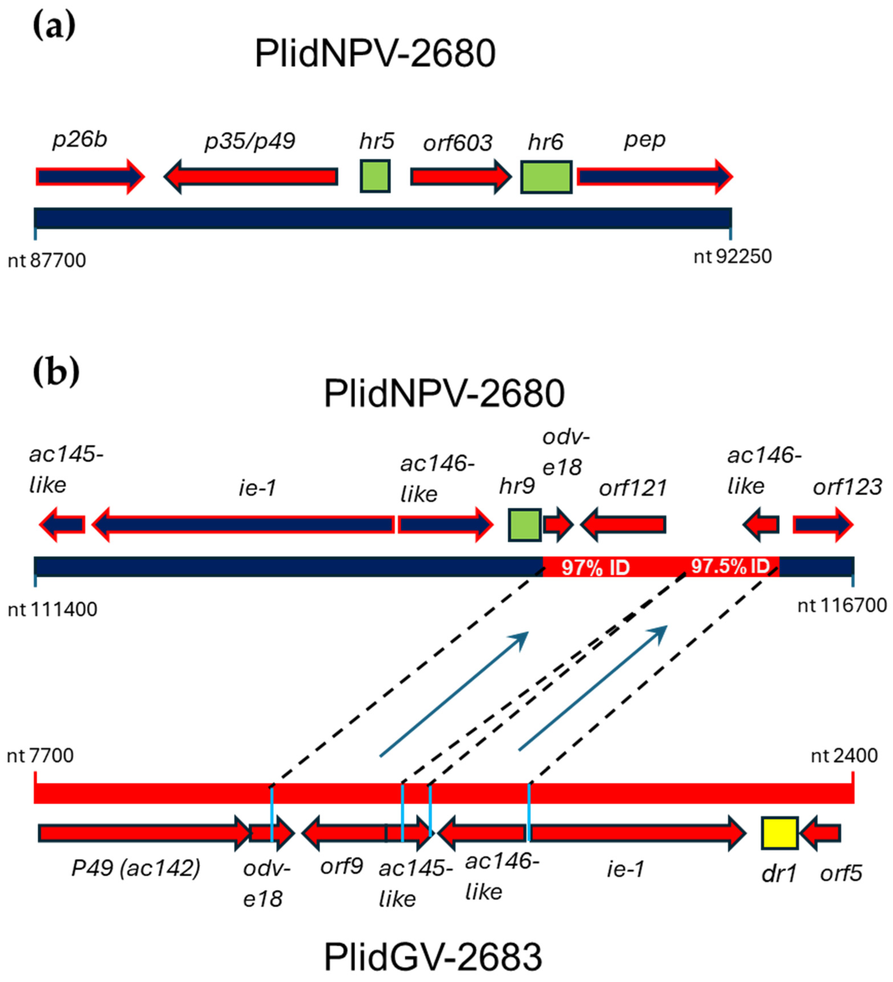 Viruses 17 00202 g004 Viruses 17 00202 g004