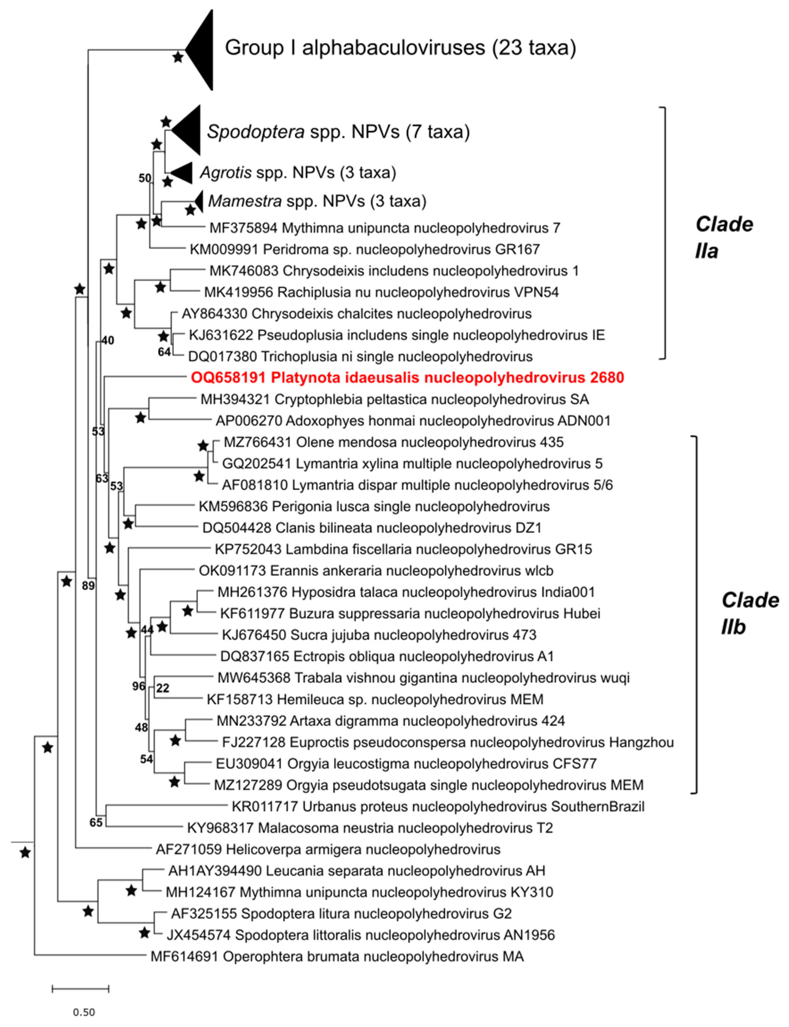 Viruses 17 00202 g006 Viruses 17 00202 g006