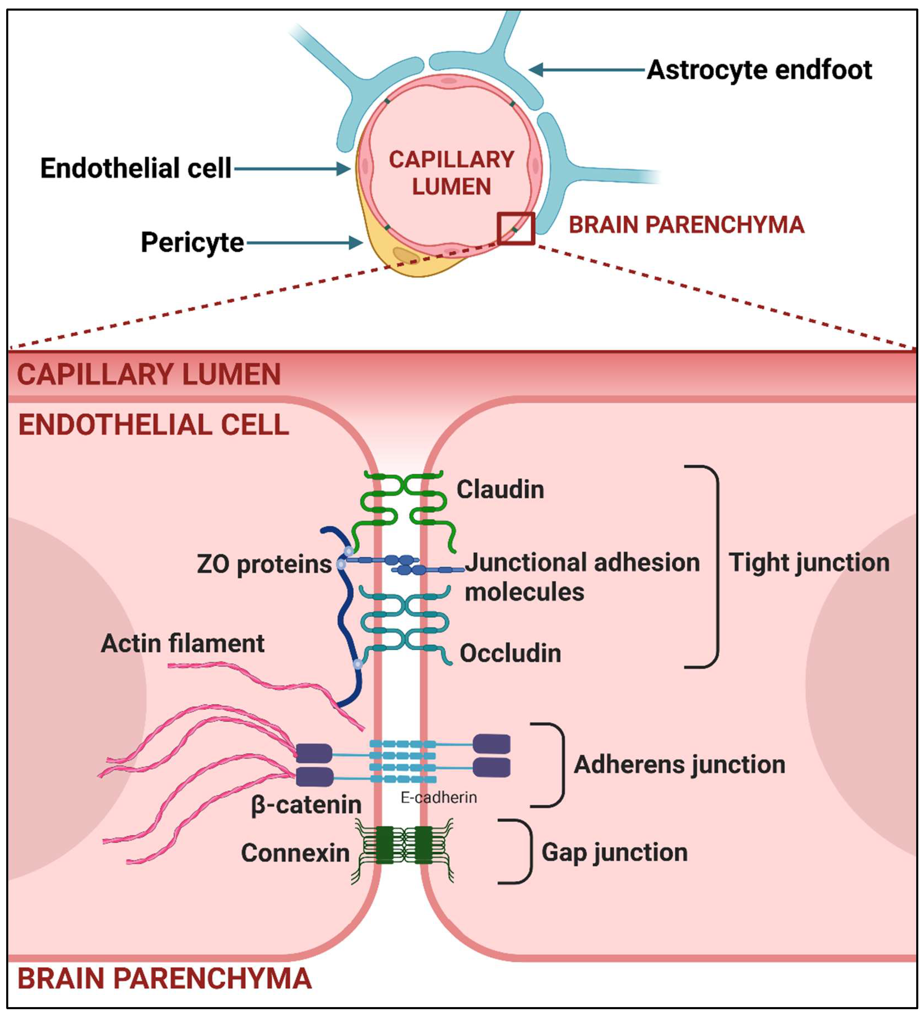 Viruses 17 00203 g002