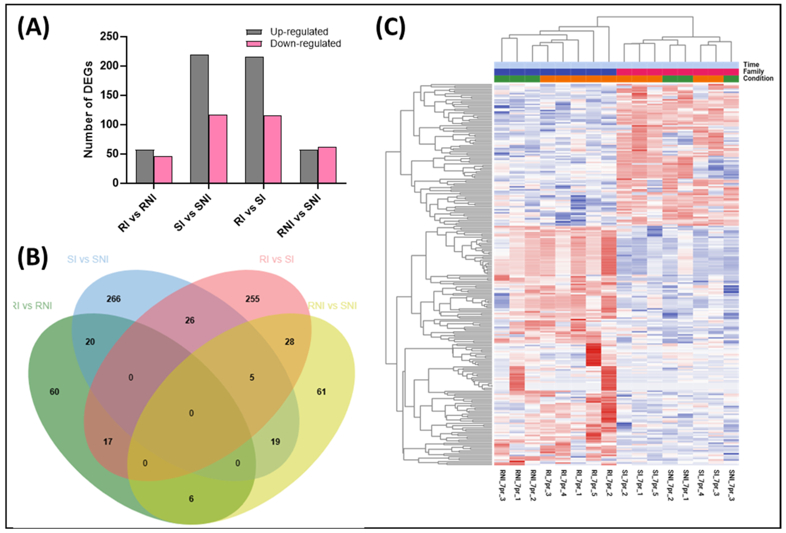 Viruses 17 00230 g003 Viruses 17 00230 g003