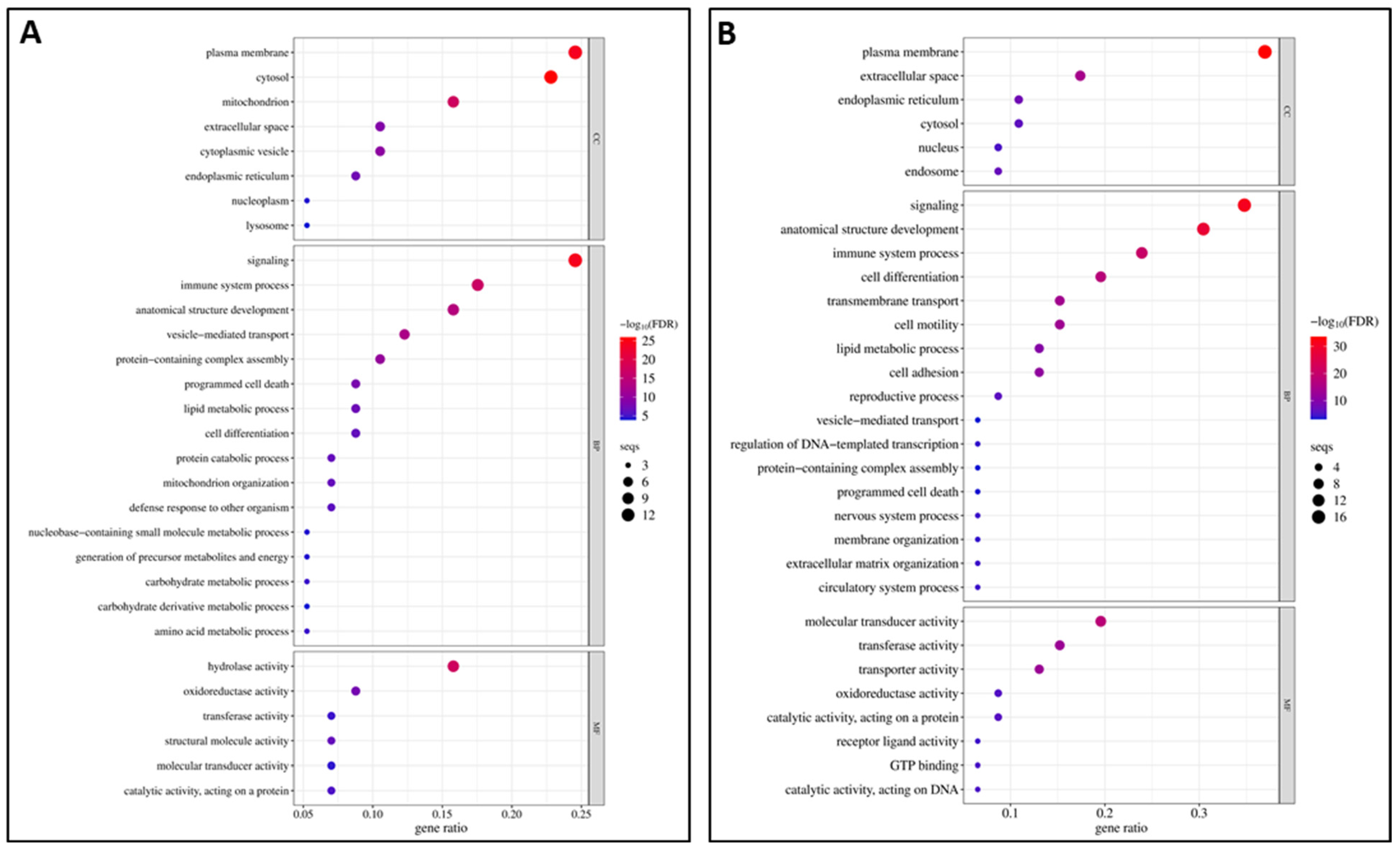 Viruses 17 00230 g004 Viruses 17 00230 g004