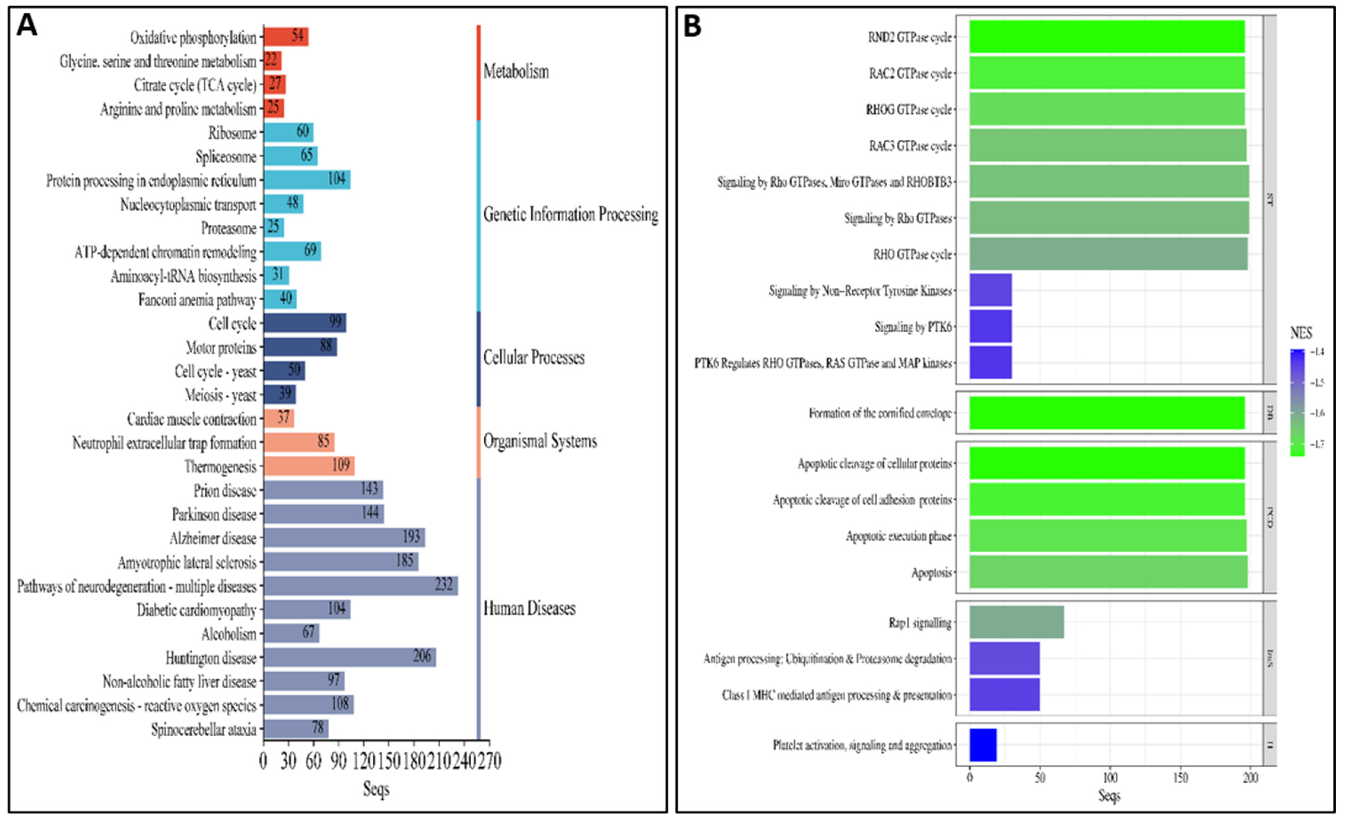 Viruses 17 00230 g005 Viruses 17 00230 g005