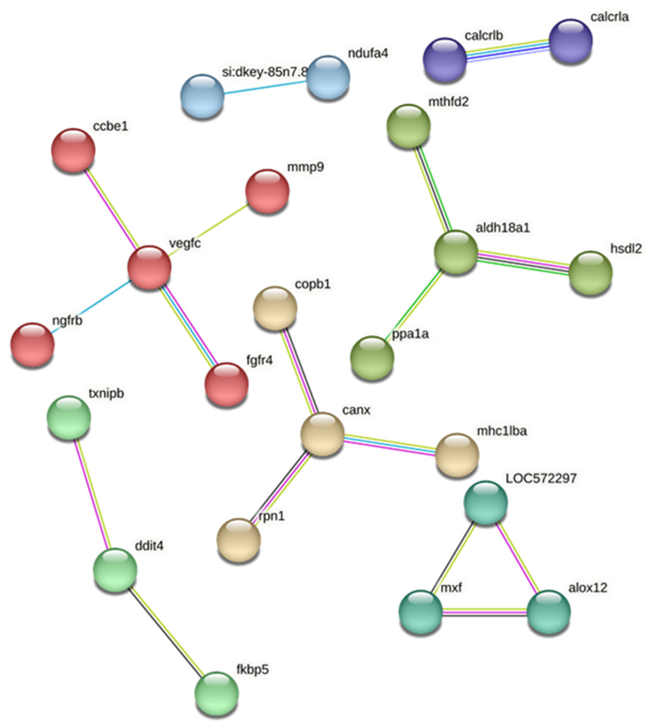Viruses 17 00230 g006 Viruses 17 00230 g006