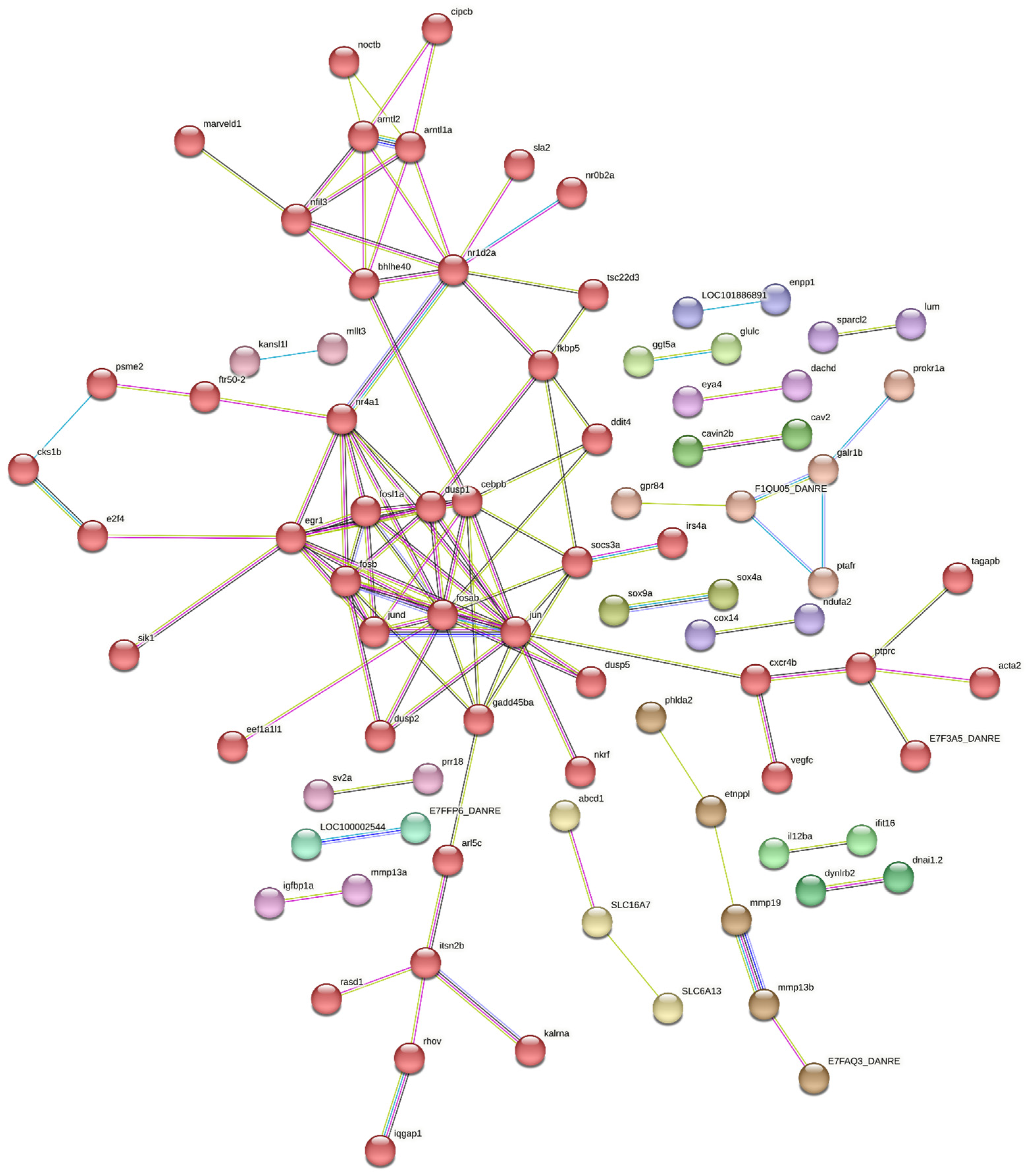 Viruses 17 00230 g009 Viruses 17 00230 g009