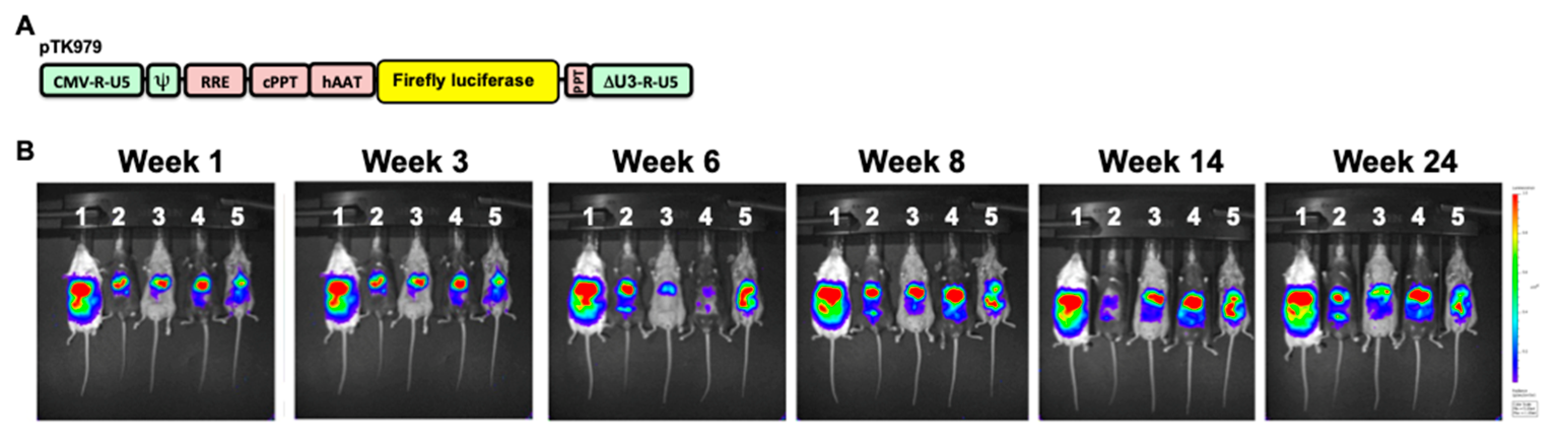 Viruses 17 00276 g001 Viruses 17 00276 g001