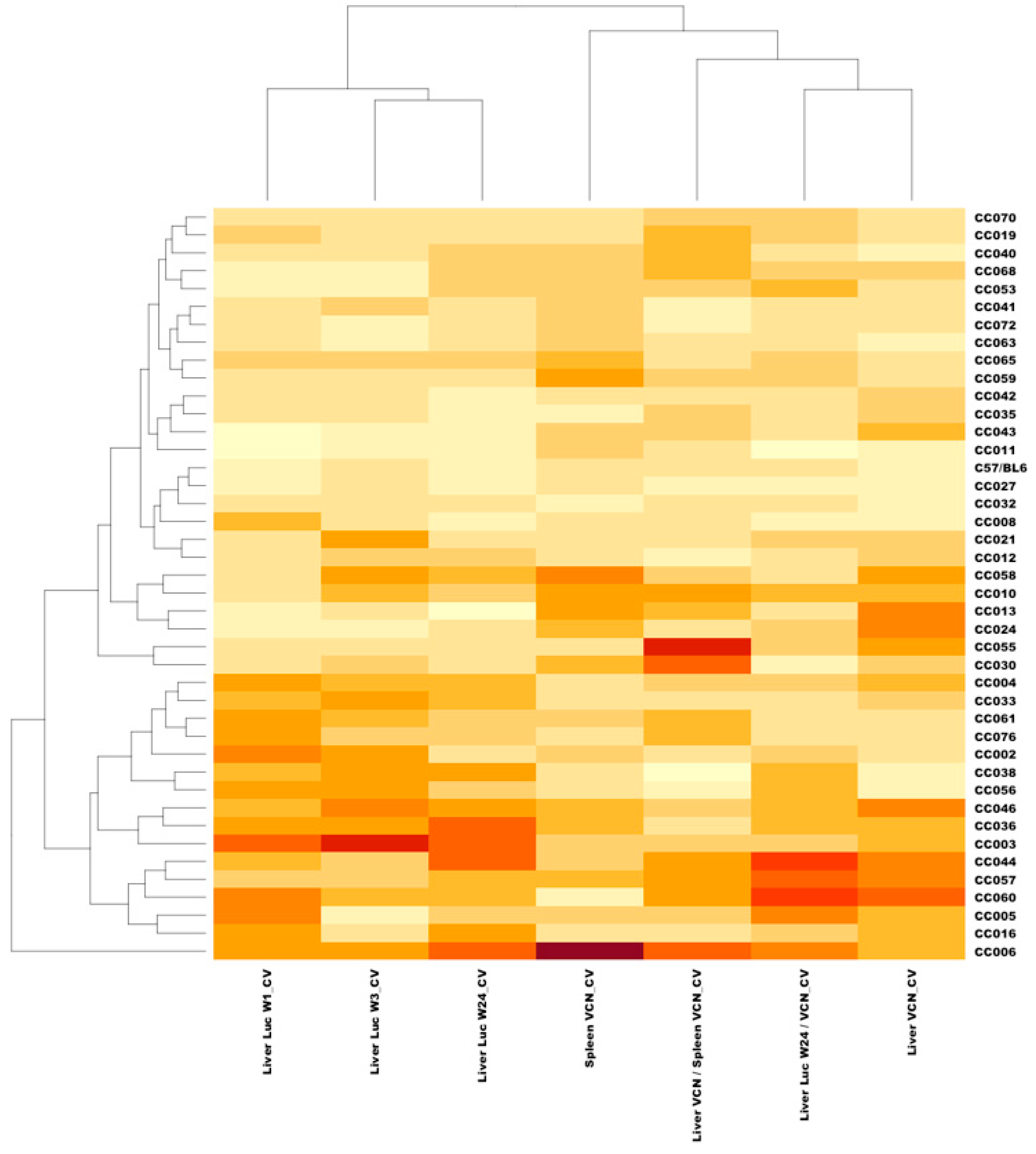 Viruses 17 00276 g015 Viruses 17 00276 g015